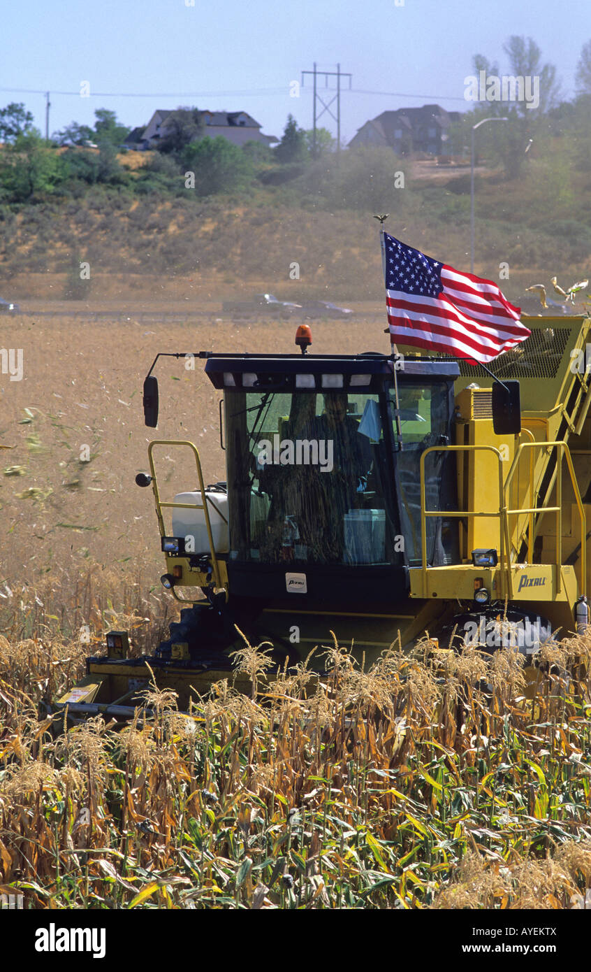 Mais-Mähdrescher die Flagge der Vereinigten Staaten von Amerika im Canyon County Idaho anzeigen Stockfoto