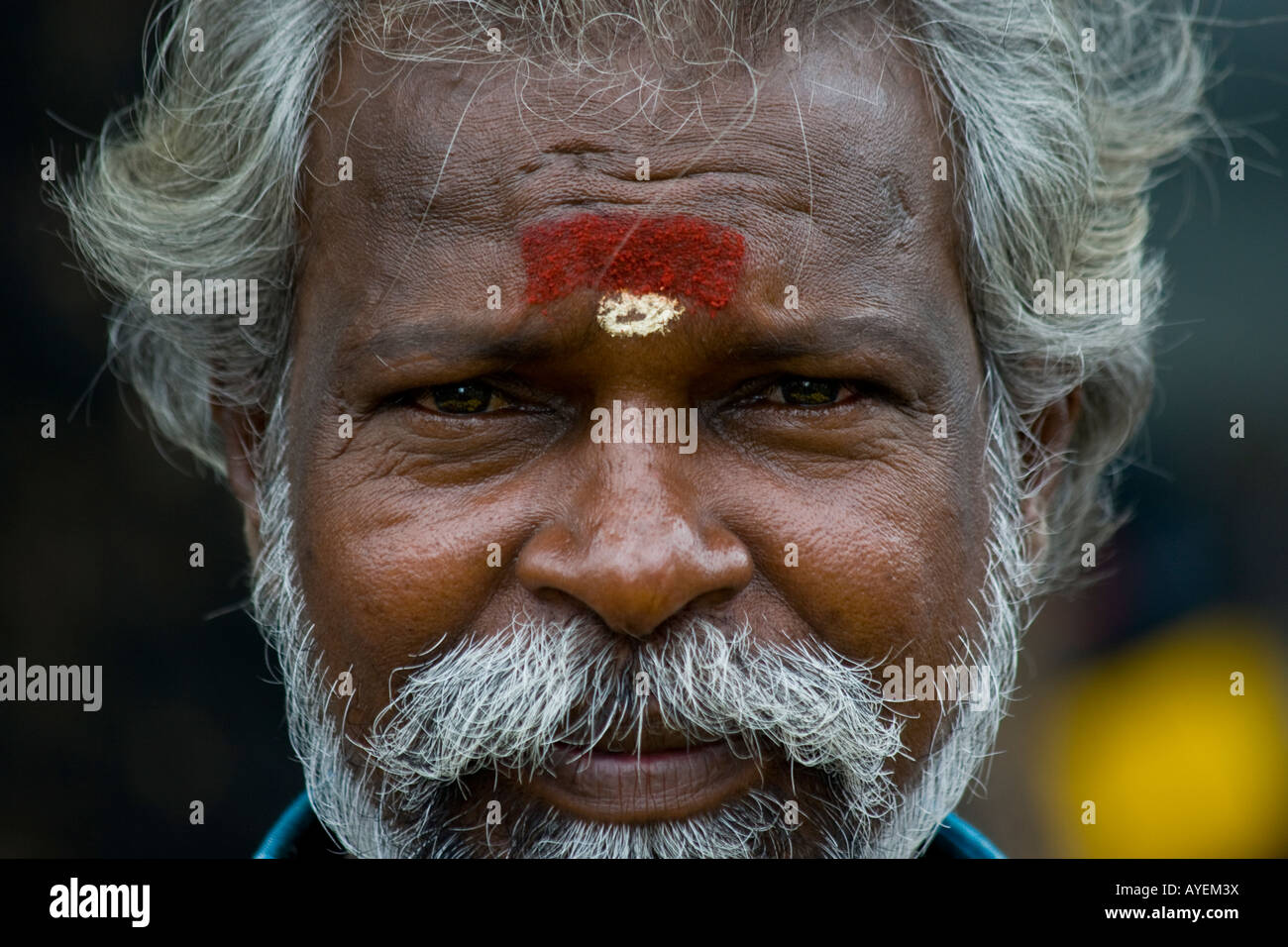 Porträt eines indischen Hindu in Chennai in Südindien Stockfoto