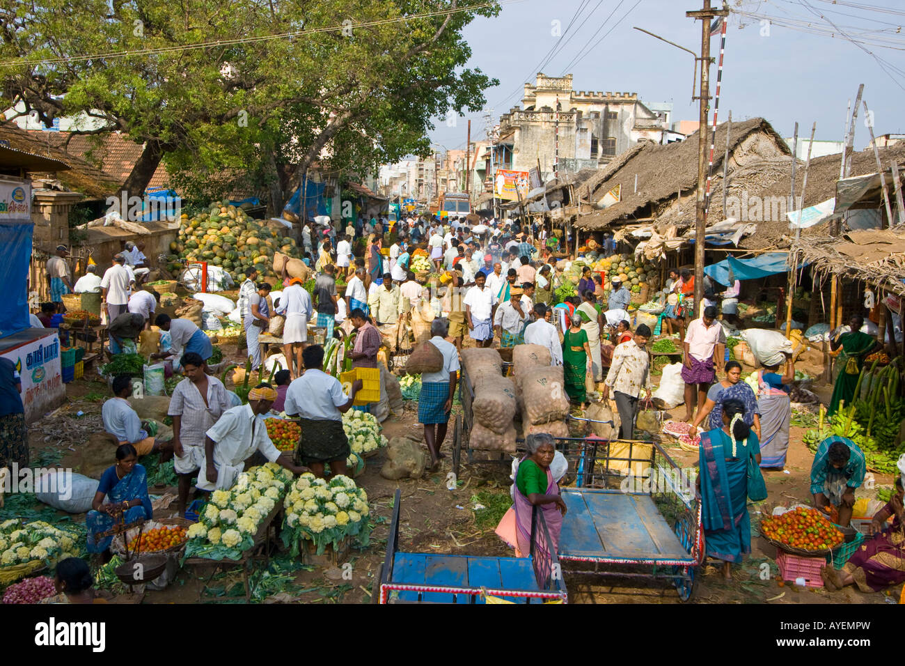 Gemüsemarkt in Madurai Südindien gebucht Stockfoto
