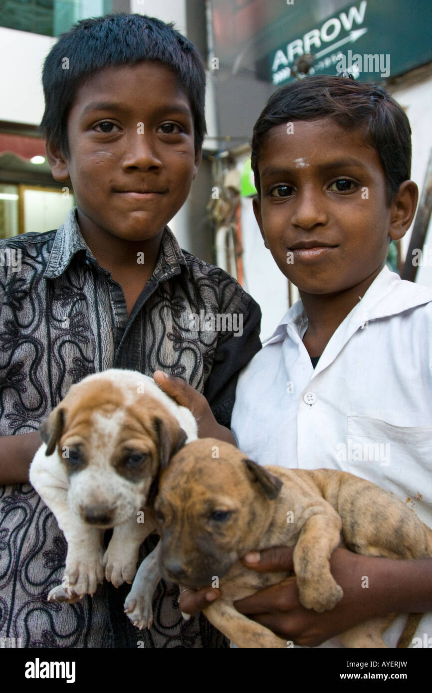 Indischen Jungen mit Welpen in Madurai in Südindien Stockfoto