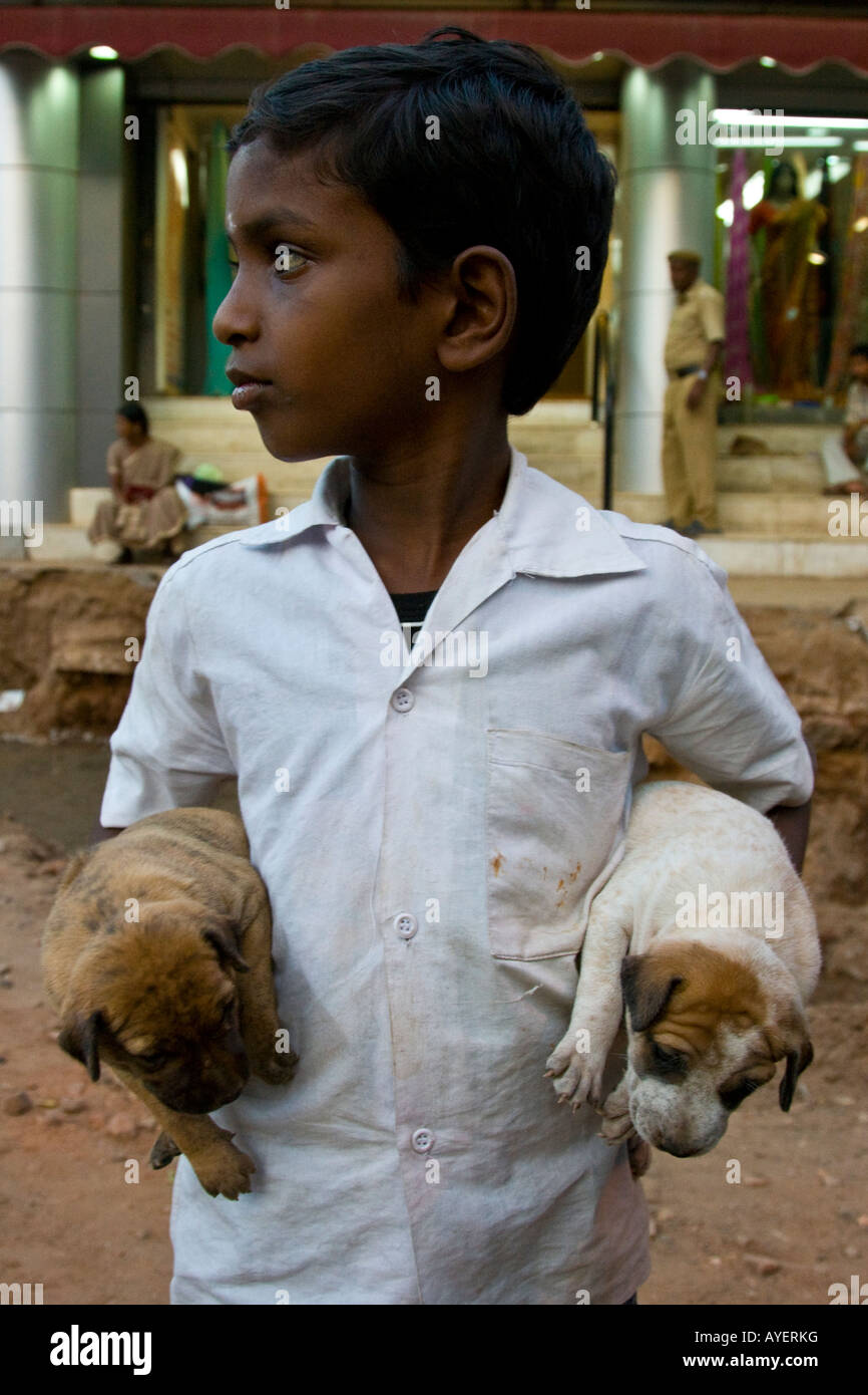 Indischer Junge mit Welpen in Madurai in Südindien Stockfoto