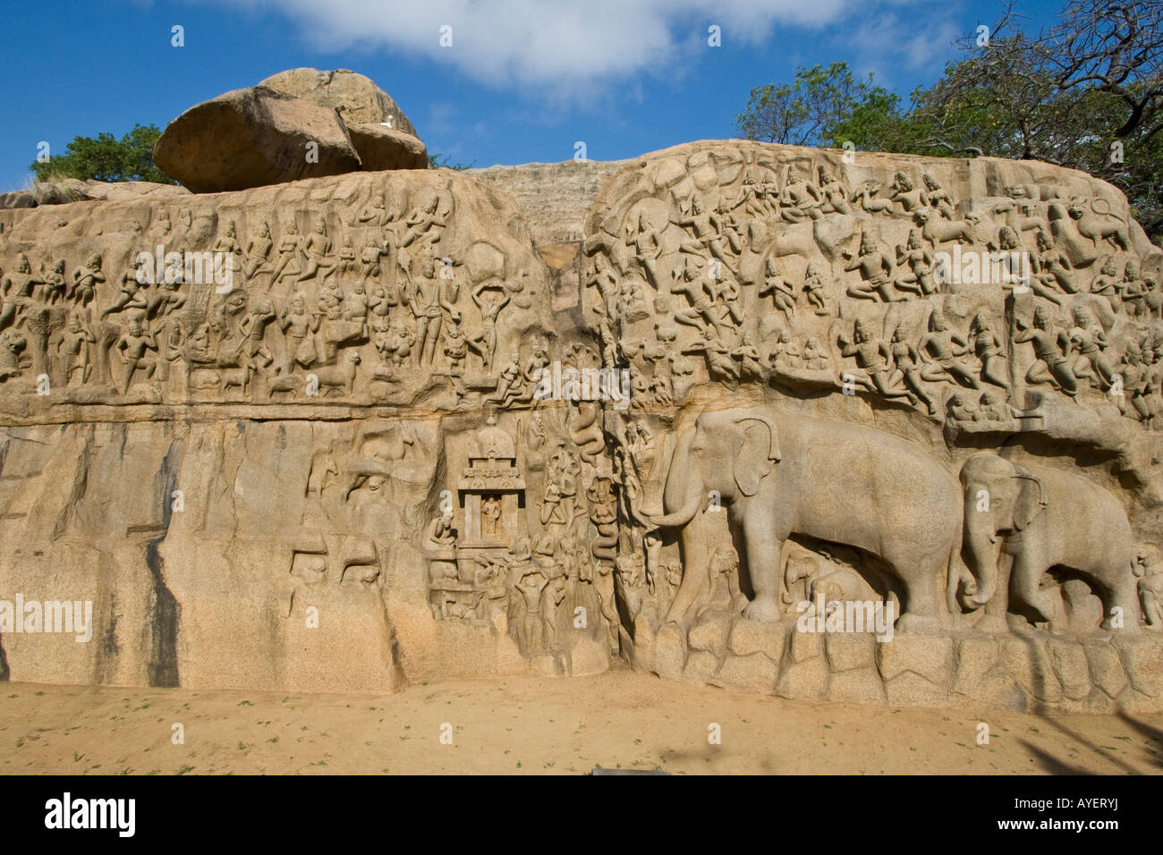 Arjunas Buße Steinrelief Schnitzereien in Mamallapuram Südindien Stockfoto