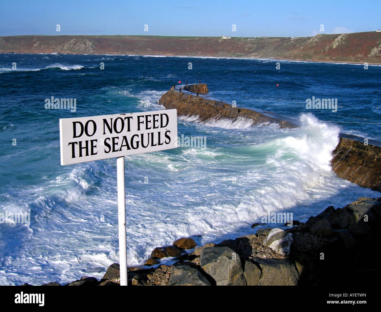 Raue See Blue Skies füttern die Möwen Warnschild Sennen Cove Cornwall England Großbritannien Stockfoto