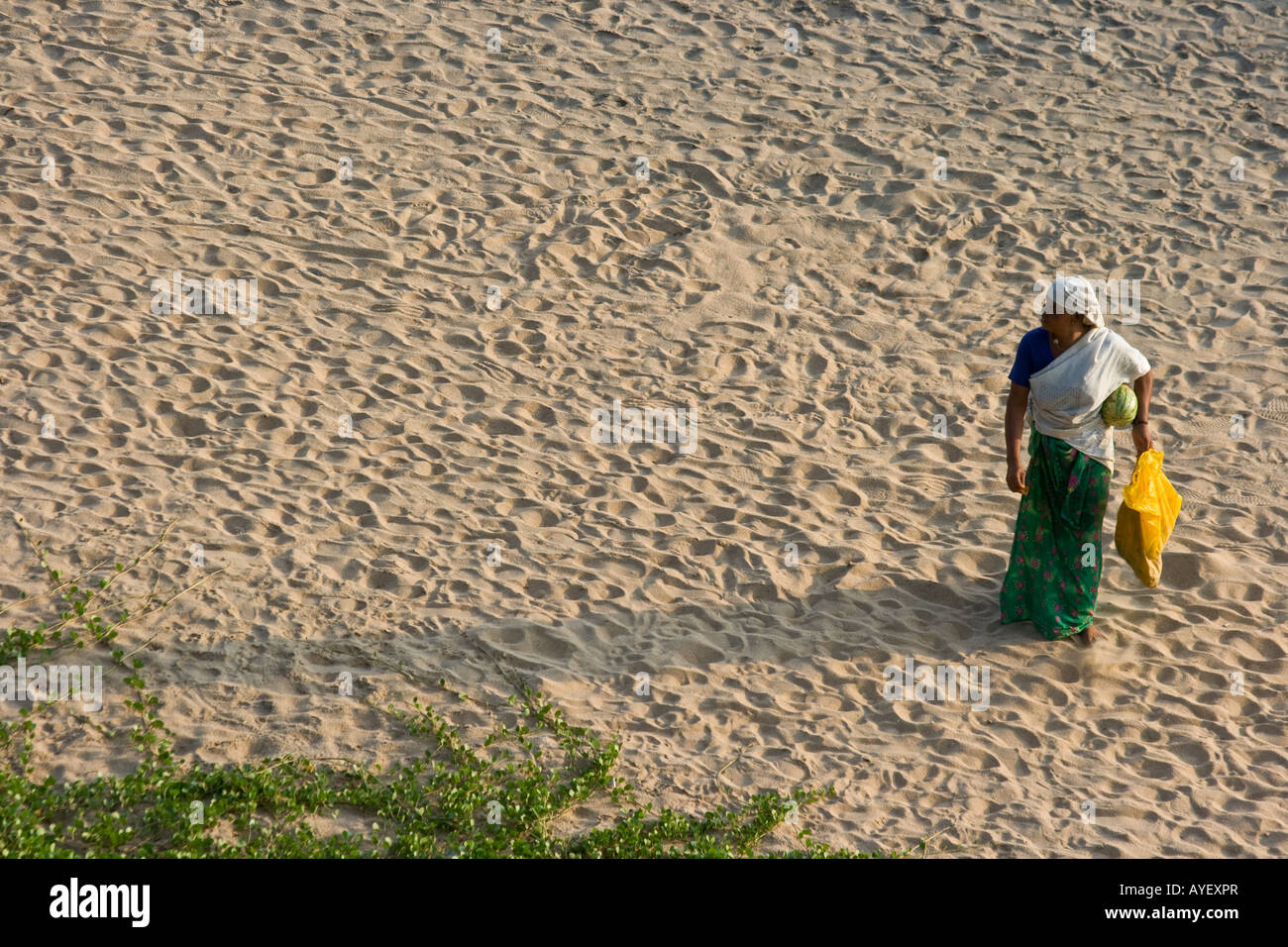 Indische Frau zu Fuß auf den Sand am Strand von Varkala Südindien Stockfoto