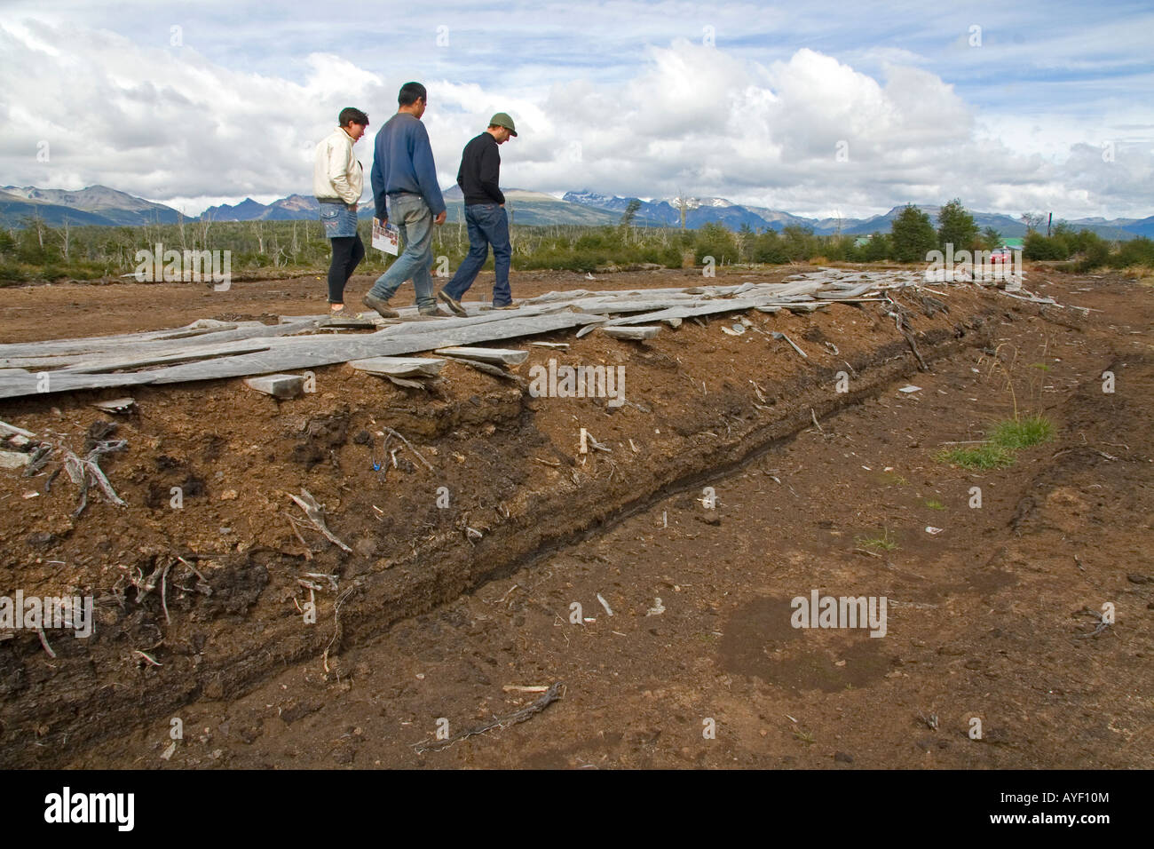 Sphagnum-Moos oder Torf Bauernhof in der Nähe von Ushuaia, Argentinien Stockfoto
