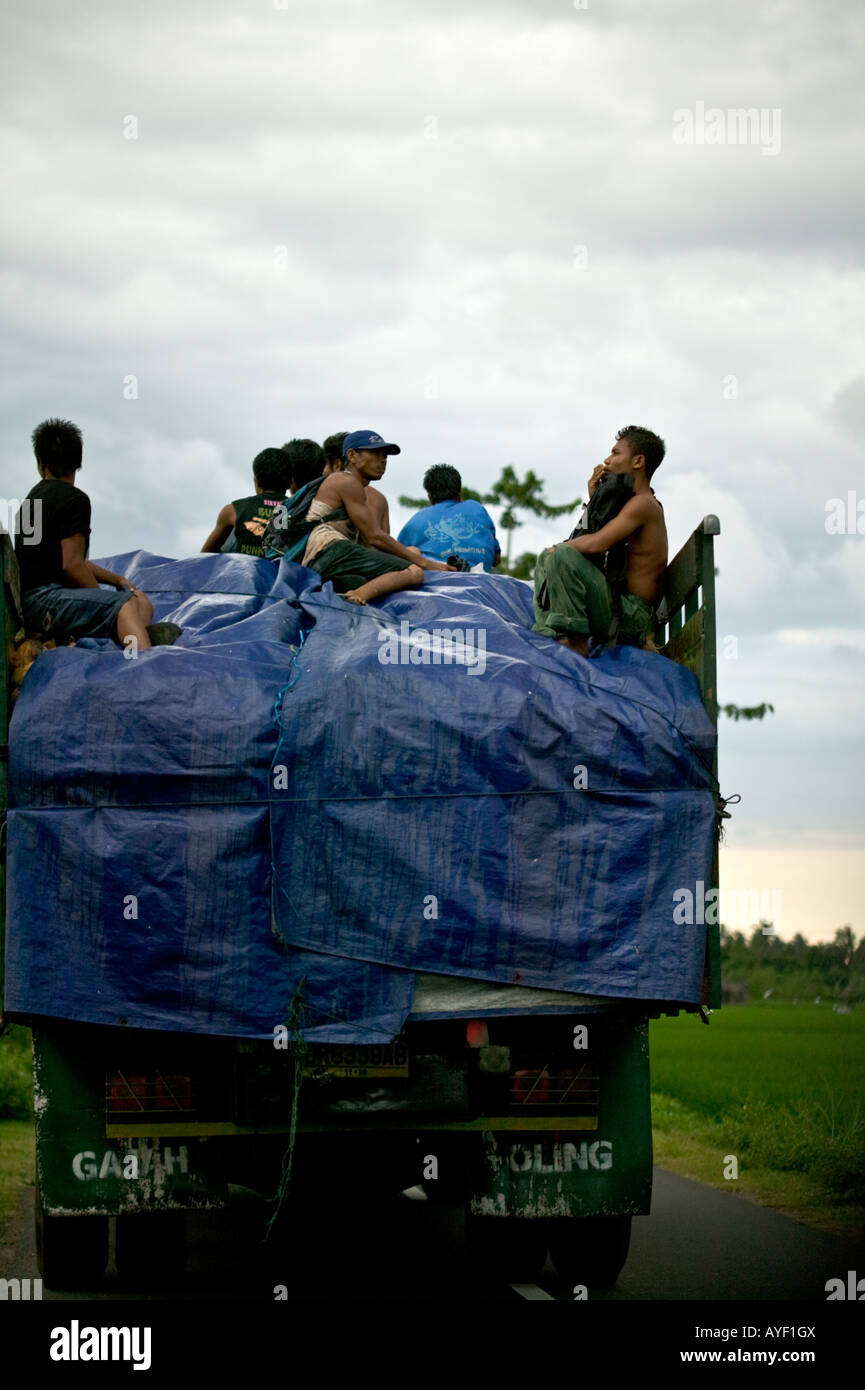 Kokosnuss Harvester Rückkehr vom Feld Stockfoto