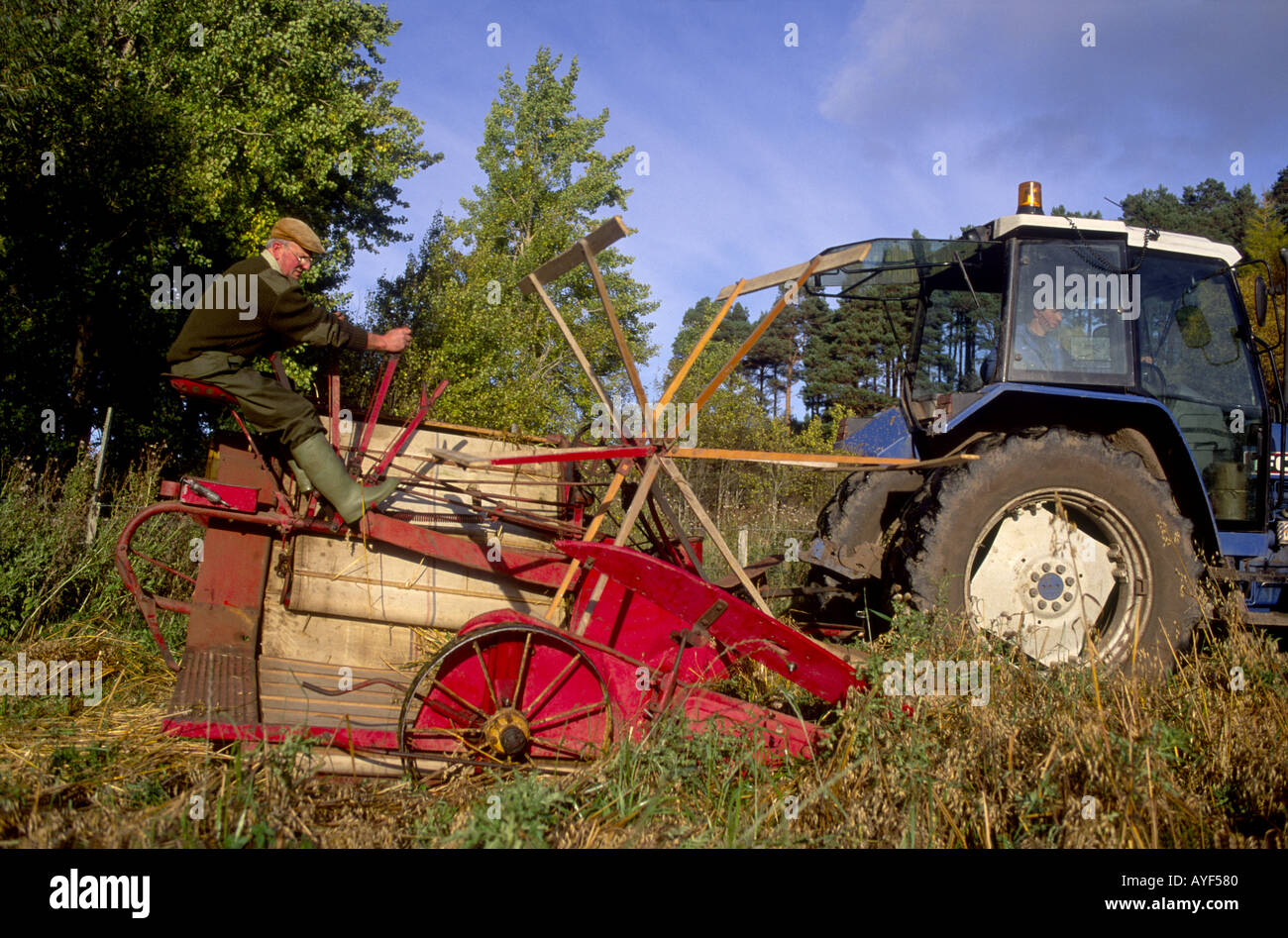 Traditionelle Weinlese Stockfoto