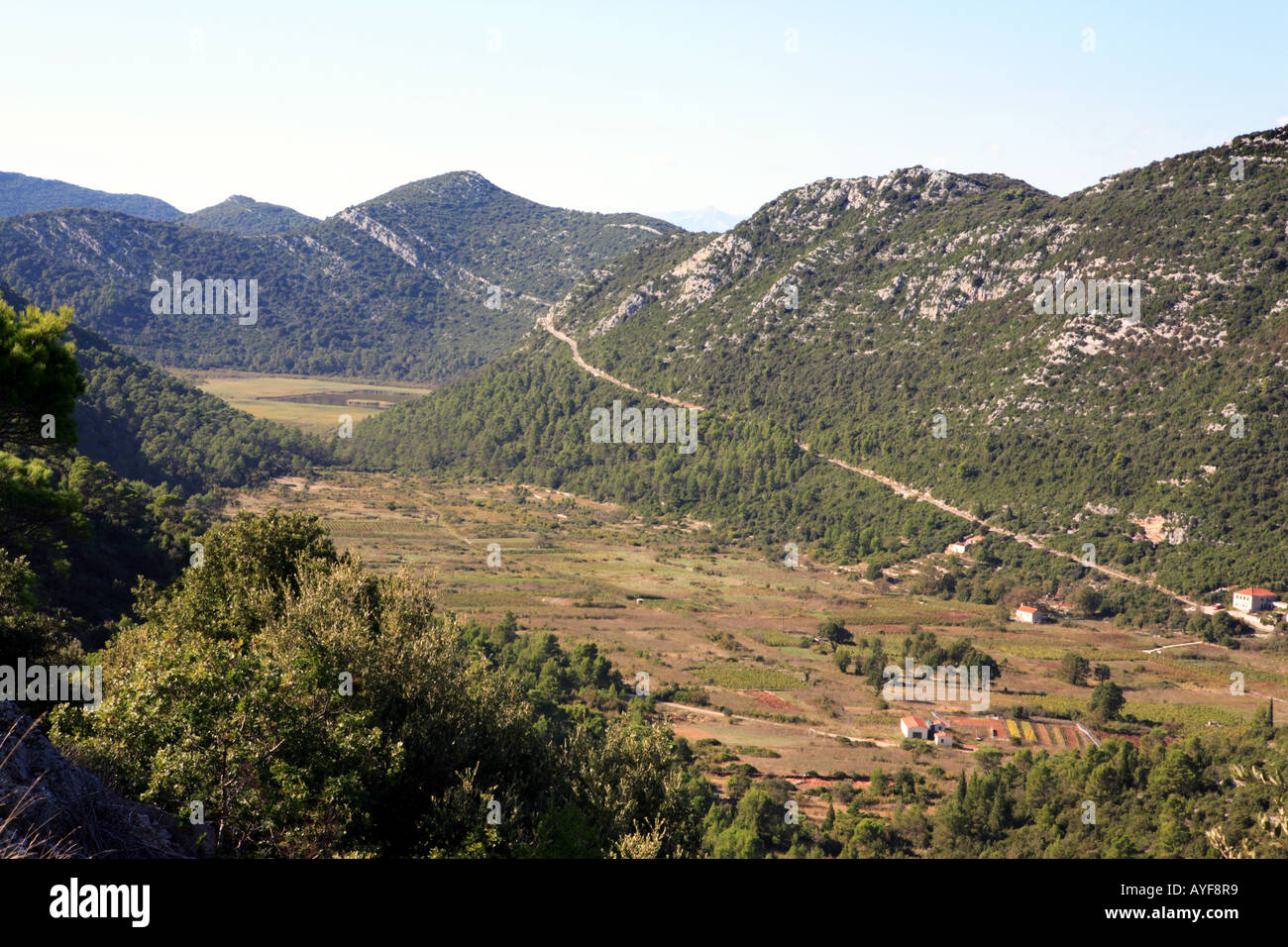Blato, eines der größten Dörfer bekannt für seine hervorragenden Wein in Mljet, Kroatien Stockfoto