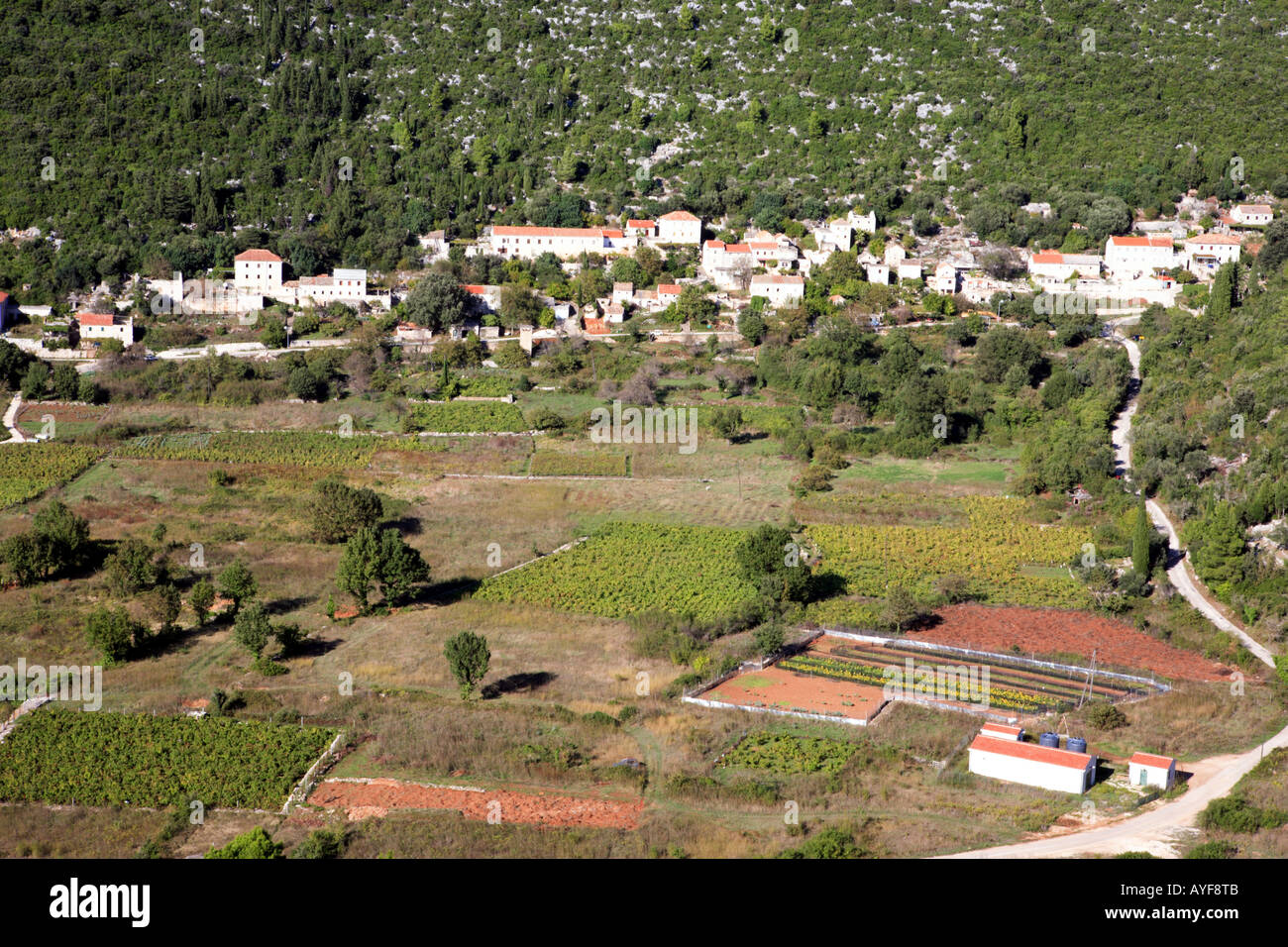 Blato, eines der größten Dörfer bekannt für seine hervorragenden Wein in Mljet, Kroatien Stockfoto