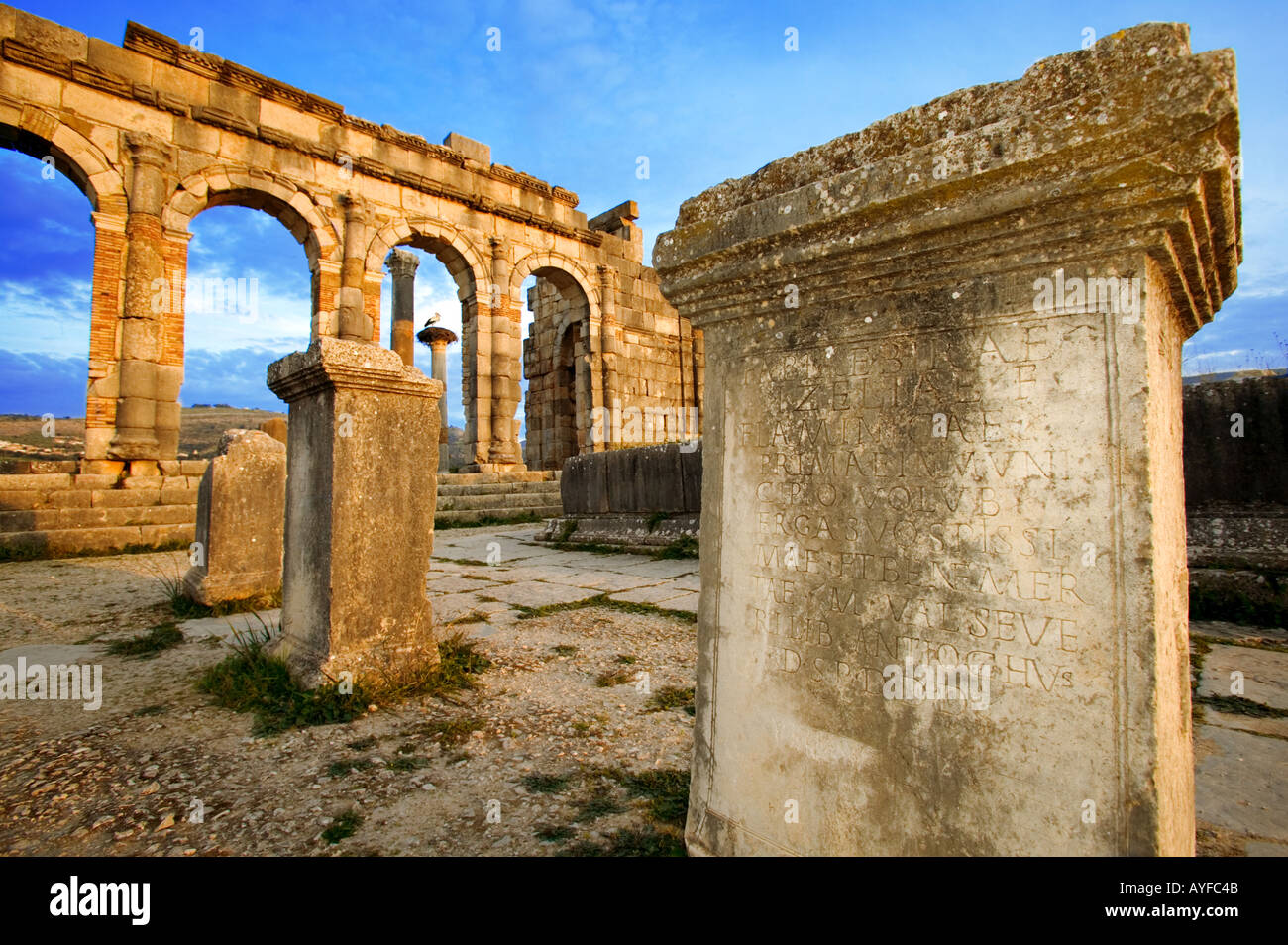 Altertümer Volubilis Roman Ruinen stammt aus der 2. und 3. Jahrhundert n. Chr. lateinische Inschrift auf alten Marokko Säulen Stockfoto