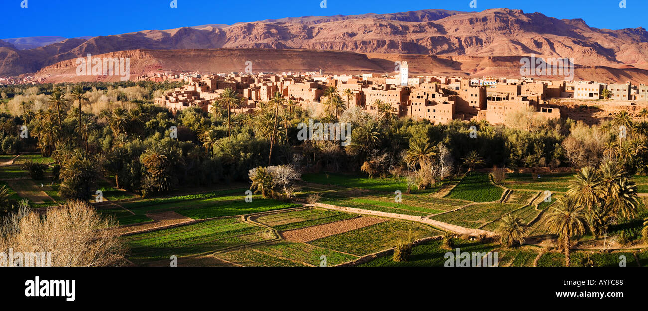 Blick auf das untere Todra-Tal zeigt die intensiv bewirtschafteten Felder und den trockenen felsigen Seiten des Talwänden Marokko Stockfoto