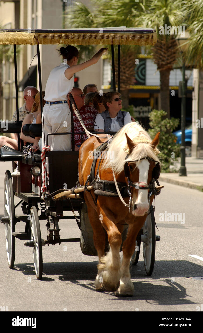 Touristen auf Pferd gezogenen Wagen auf den Straßen von Charleston South Carolina USA Stockfoto