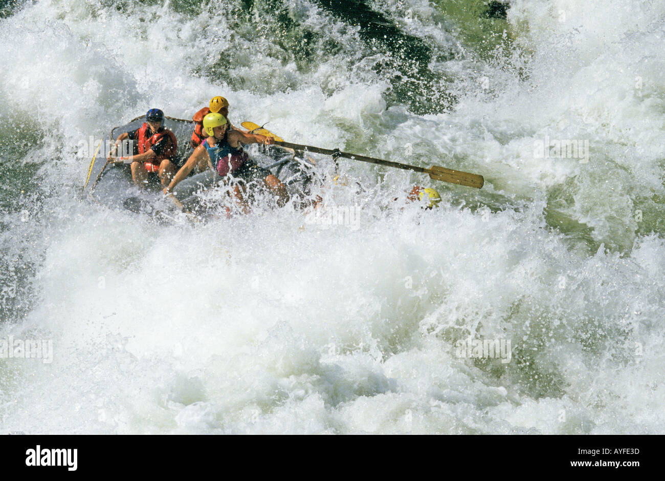 Wildwasser-rafting Zambezi River Simbabwe Sambia Grenze Afrika Stockfoto