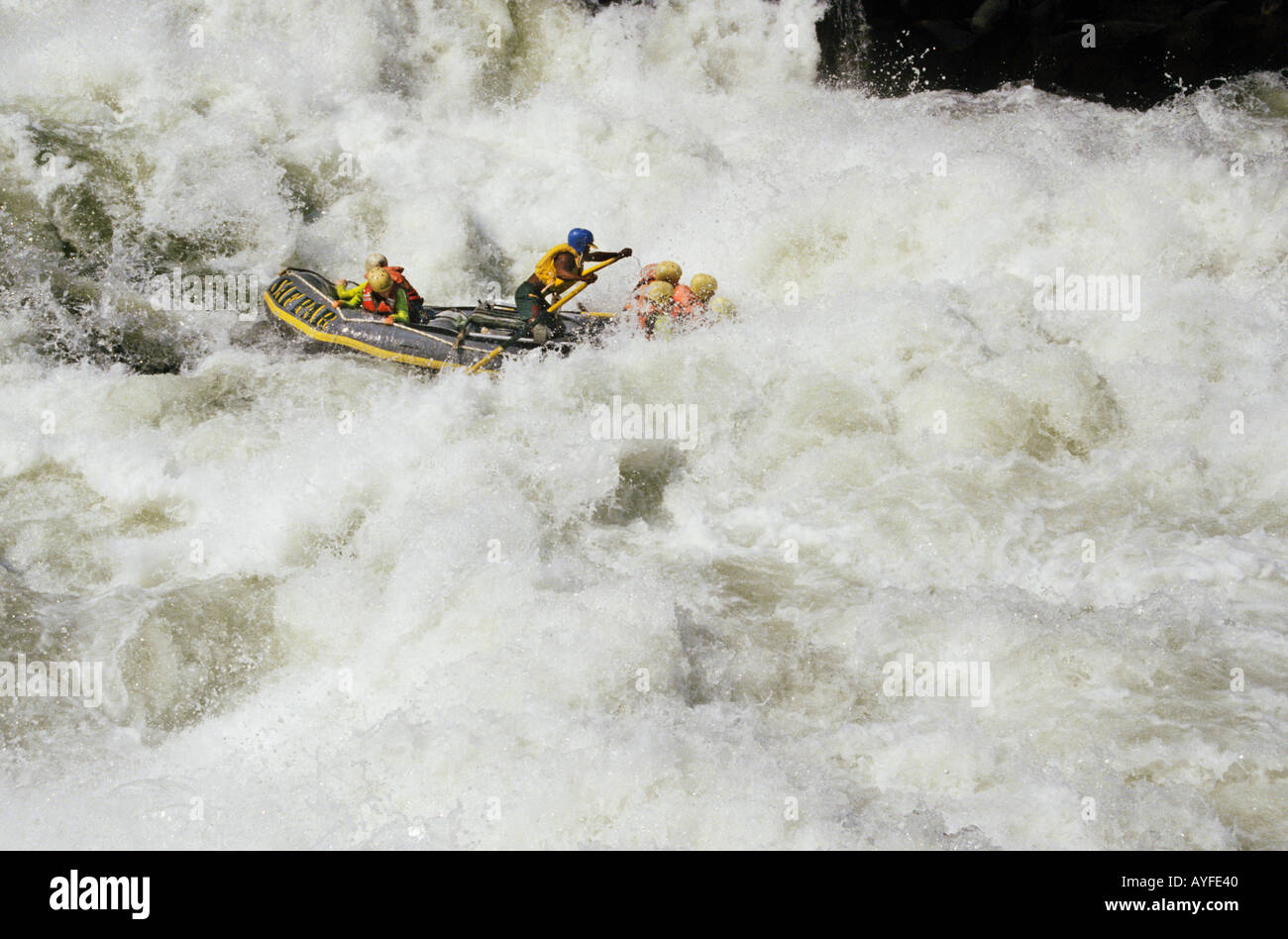 Wildwasser-rafting an rapid 5 Zambezi River Simbabwe Sambia Grenze Afrika Stockfoto