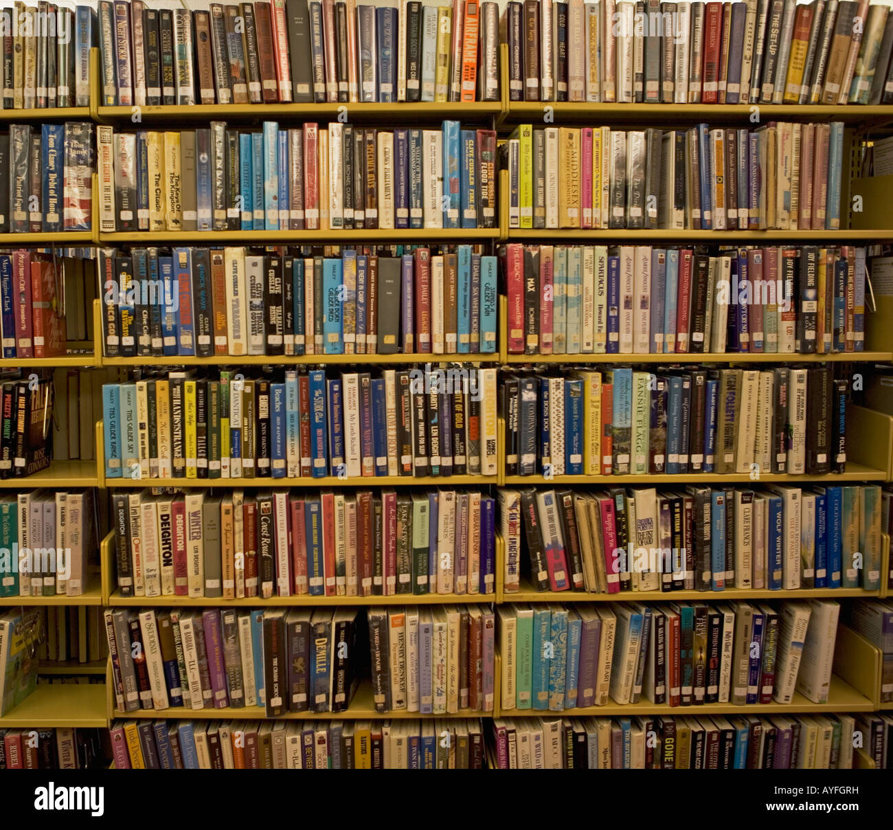Bücher auf den Regalen der Bibliotheken Stockfoto