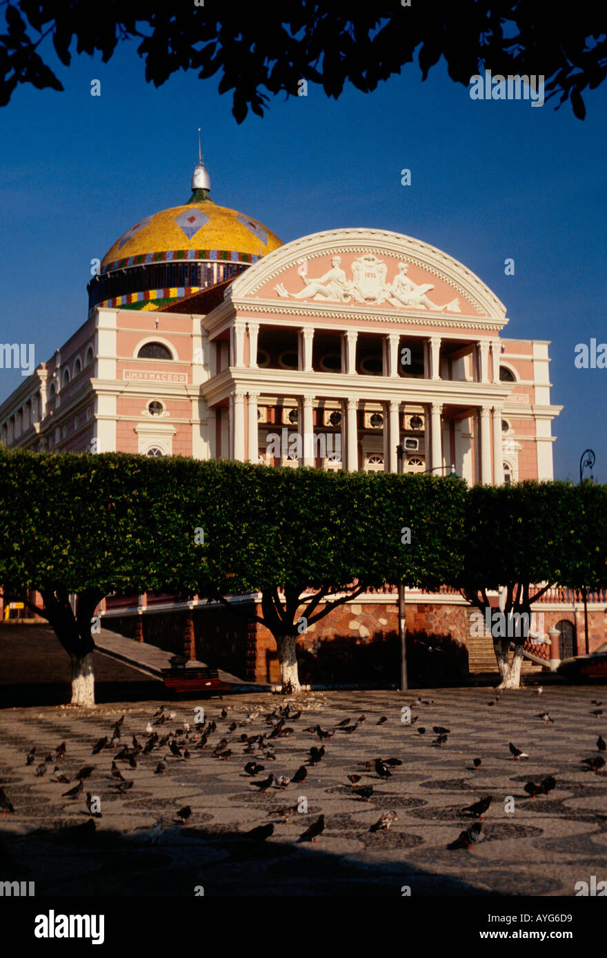 Manaus Opernhaus, Opernhaus Teatro Amazonas, Manaus, Bundesstaat Amazonas, Brasilien Stockfoto