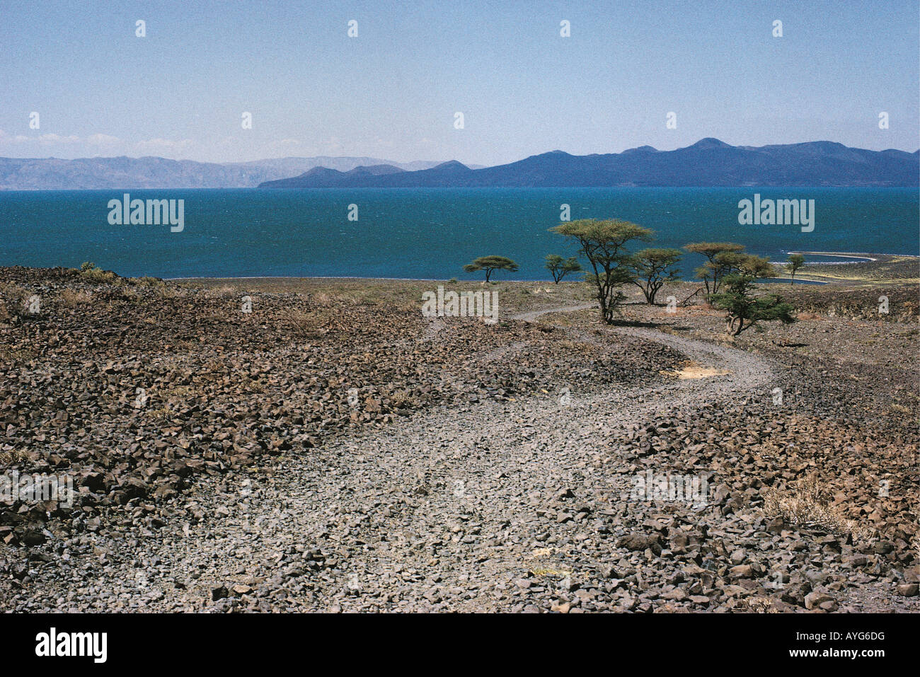 Turkana-See und Südinsel im nördlichen Kenia in Ostafrika Stockfoto