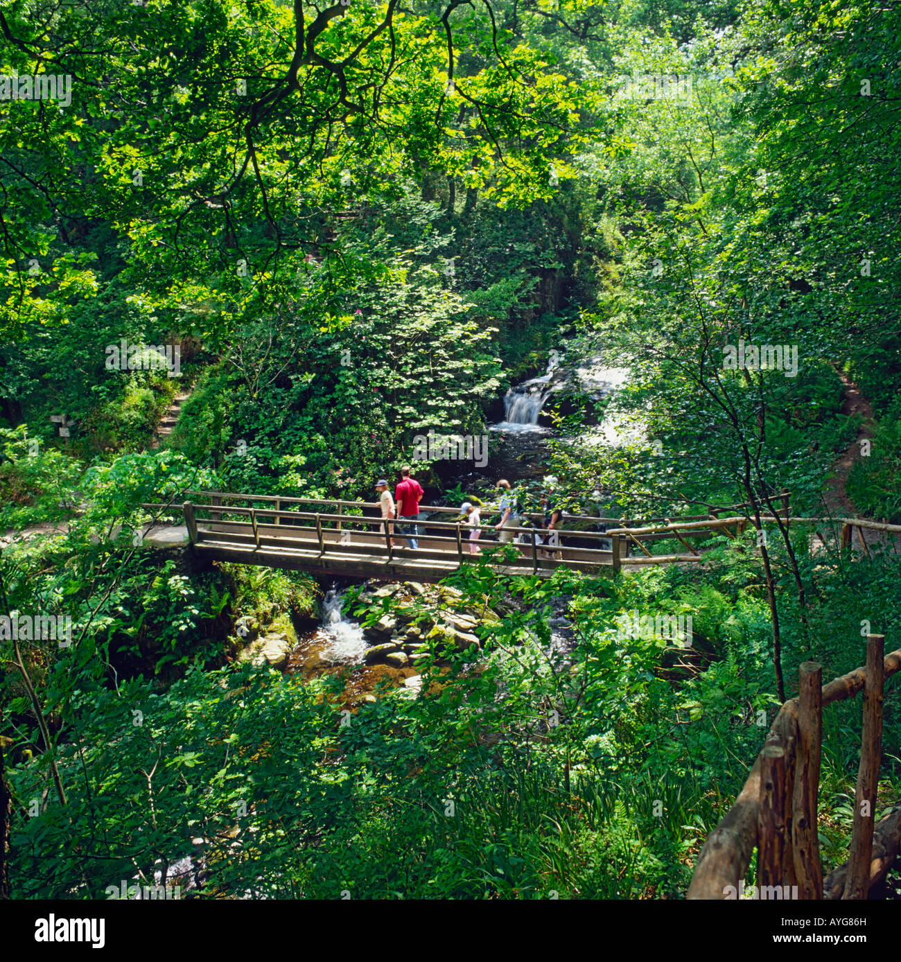 Familie Fuß über eine schmale hölzerne Fußgängerbrücke mit Wasserfällen unter im Watersmeet auf Exmoor North Devon England Stockfoto