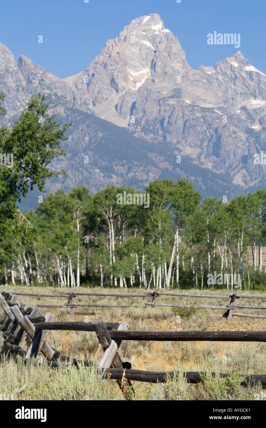 Split Rail Log Zaun Grand Teton Nationalpark Wyoming USA Stockfoto