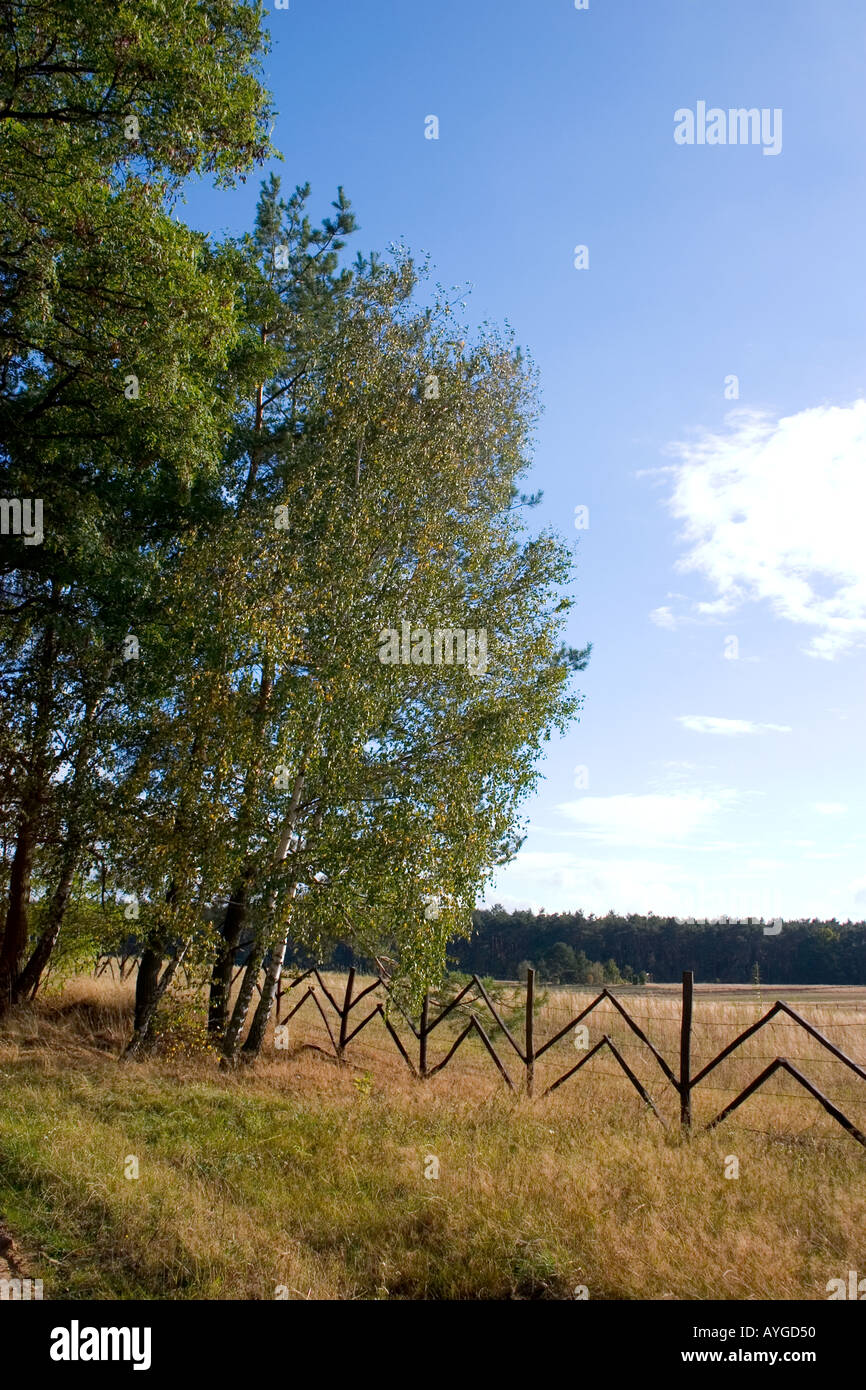 Zaun mit sich wiederholenden Zick-Zack-Muster, die Aufteilung des Landwirts Felder mit dem polnischen National Forest in den Hintergrund. Zawady Polen Stockfoto
