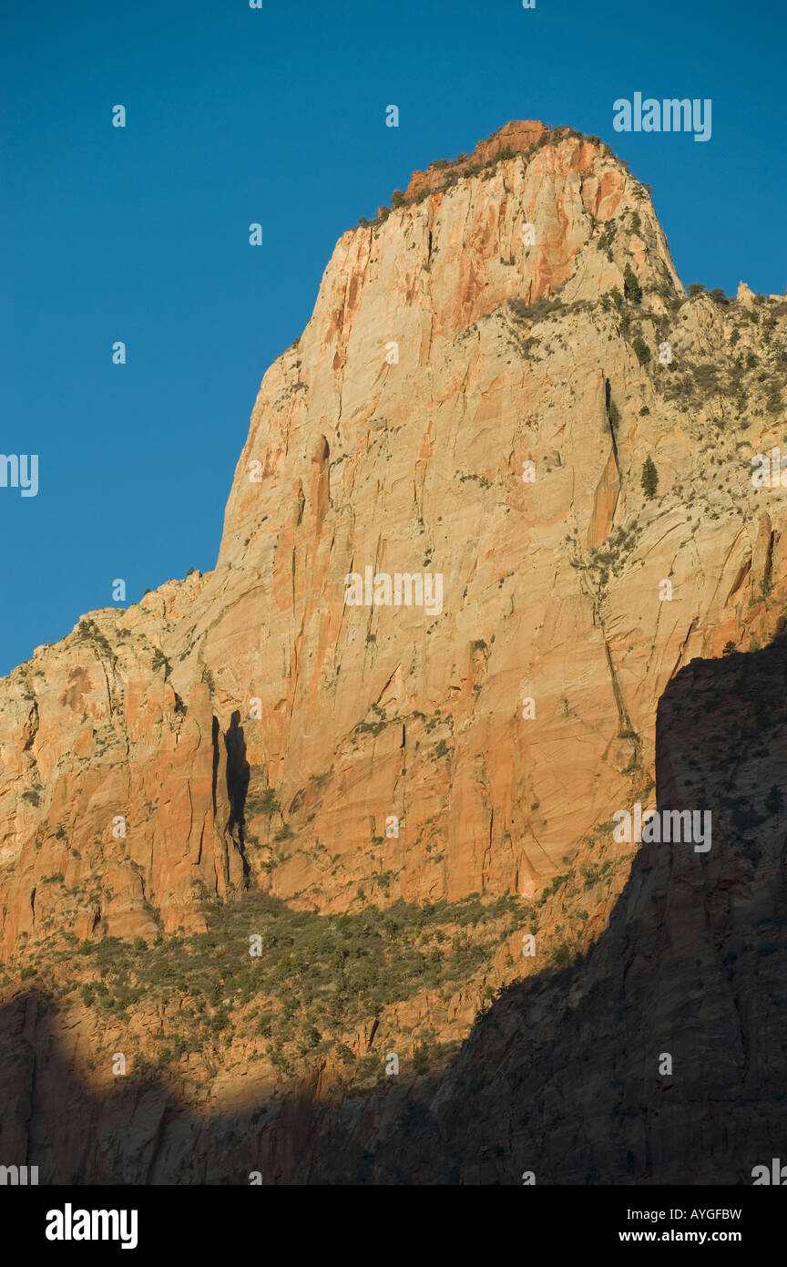 USA, Utah, Zion National Park, The Sentinel Rock Turm erhebt sich über Virgin River Valley, bei Sonnenaufgang Stockfoto