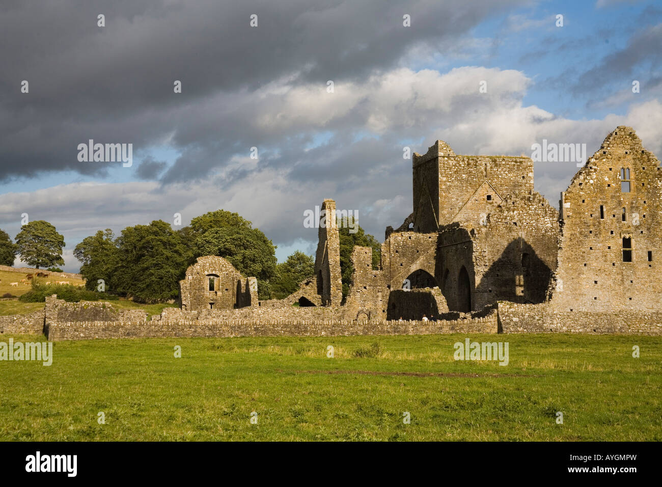 Hore Abbey Cashel Stadt County Tipperary Irland Stockfoto