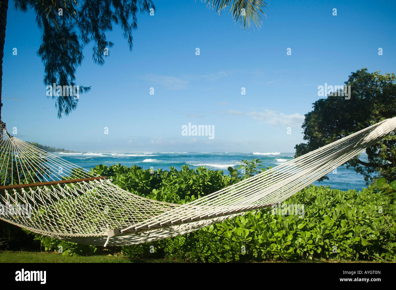 Hängematte mit Meer im Hintergrund, Oahu, Hawaii, Vereinigte Staaten von Amerika Stockfoto