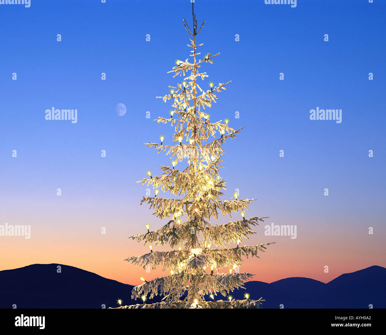 Fotokunst: Weihnachtsbaum und Mond Stockfoto