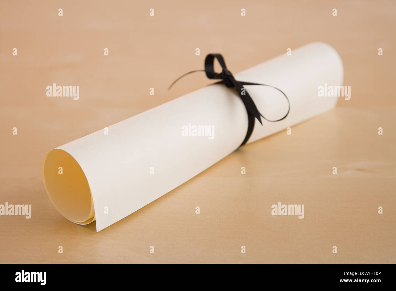 Nahaufnahme von Diplom Stockfoto