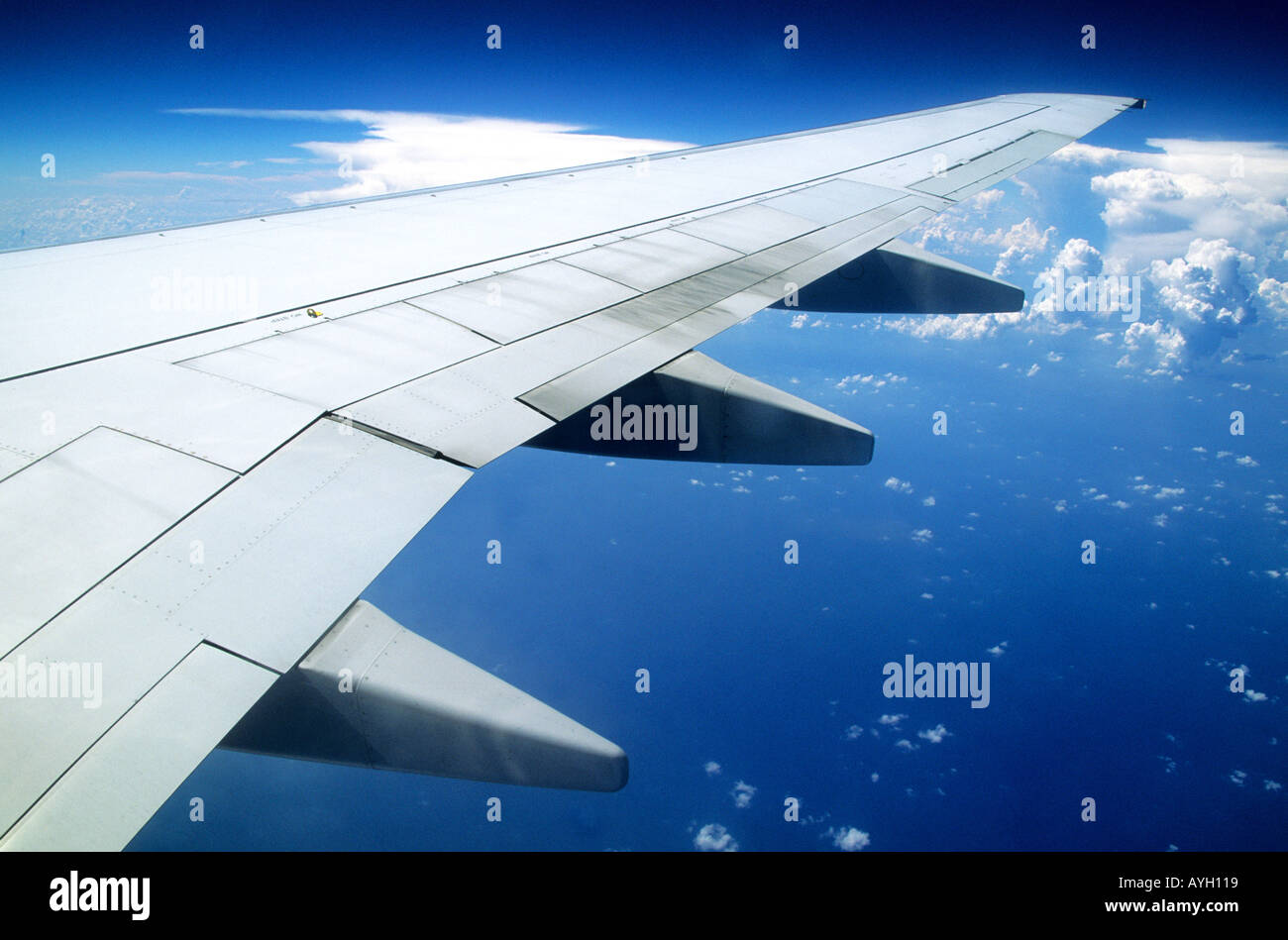 Flugzeugflügel Stockfoto