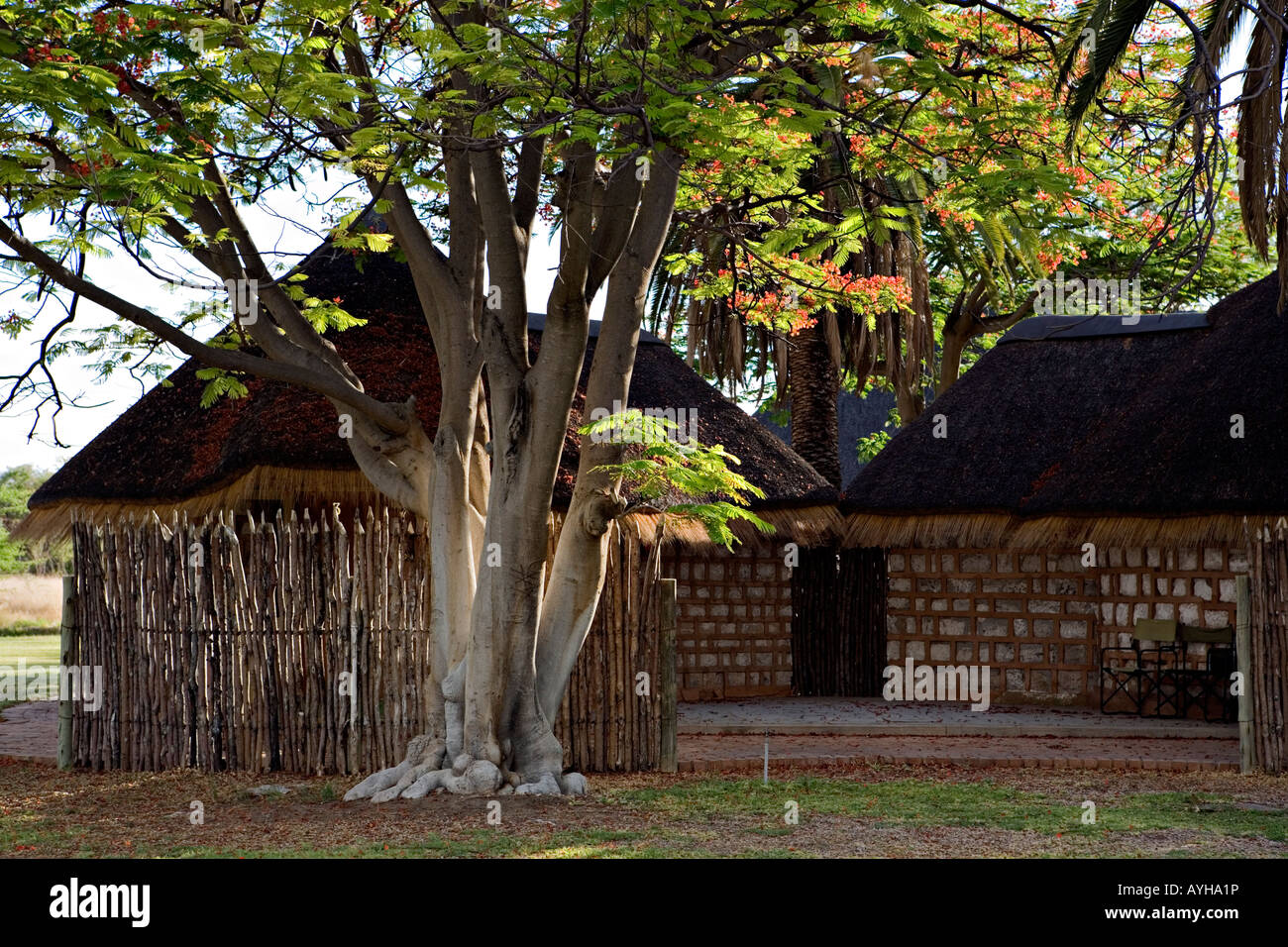 Wunderschön verwalteten Onguma Bush Camp, Namibia Stockfoto