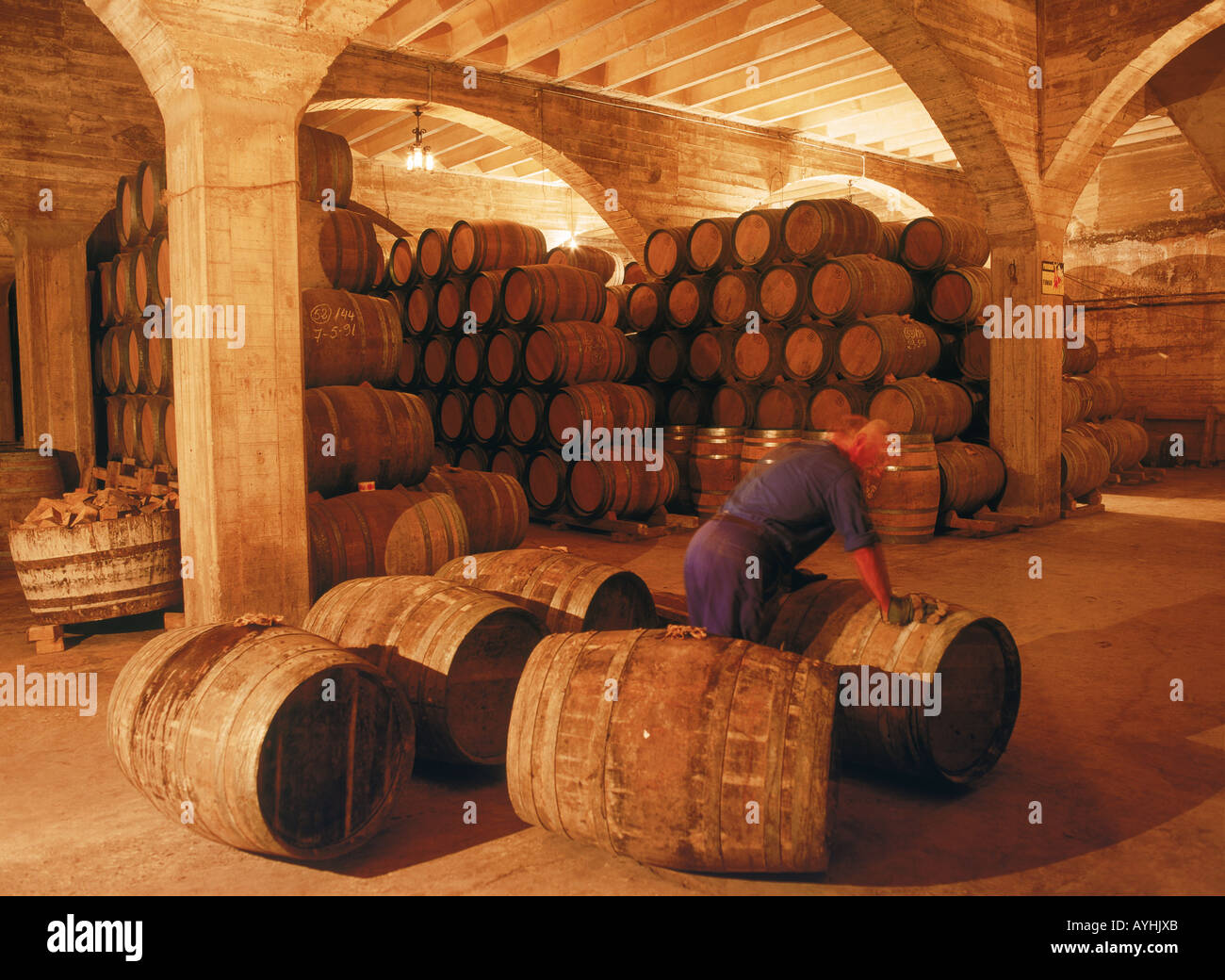 Weinfässer im Cune Weinkeller oder Bodega Rioja Provence von Spanien Stockfoto