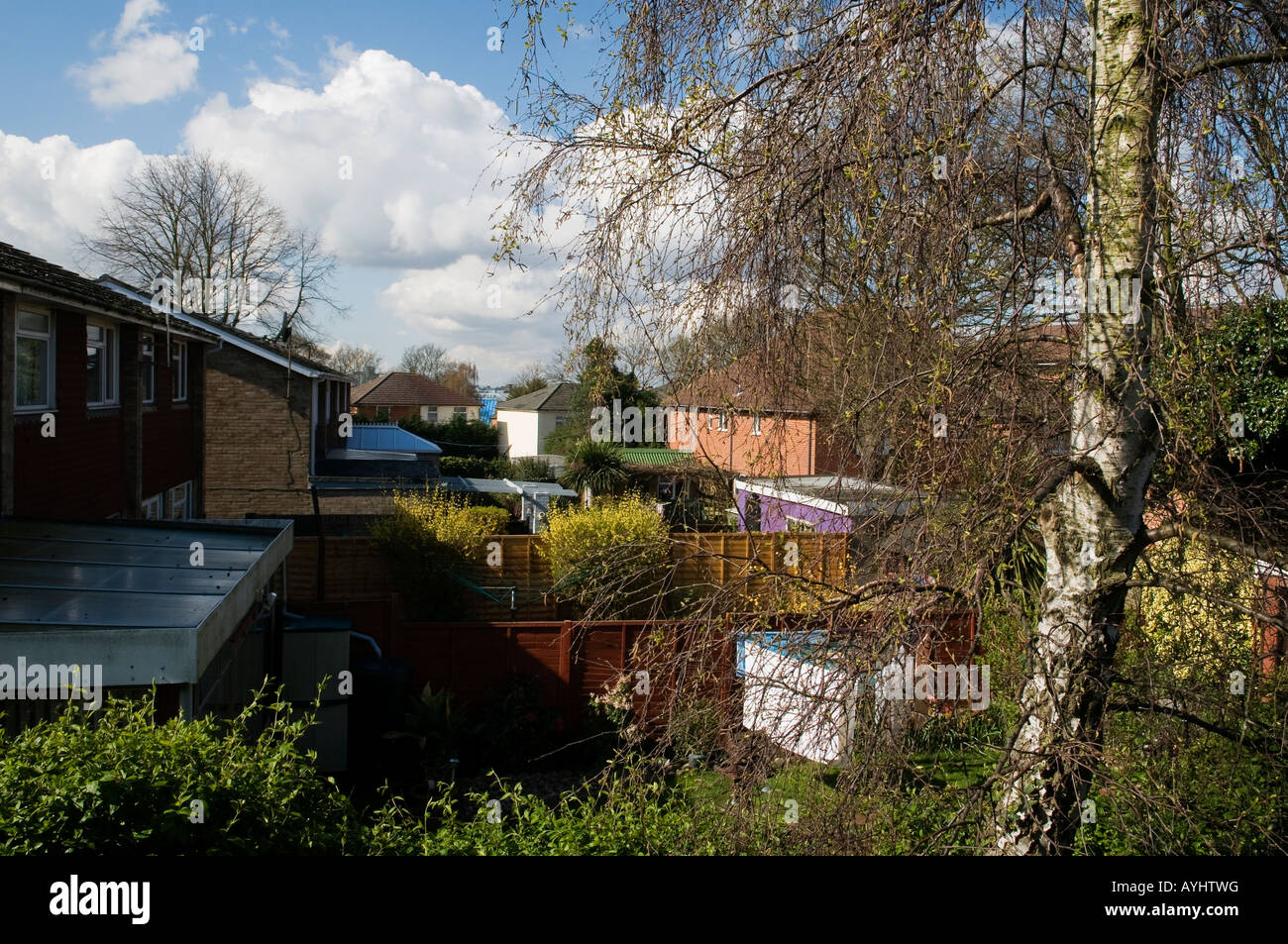 Blick über suburban Gardens. Stockfoto