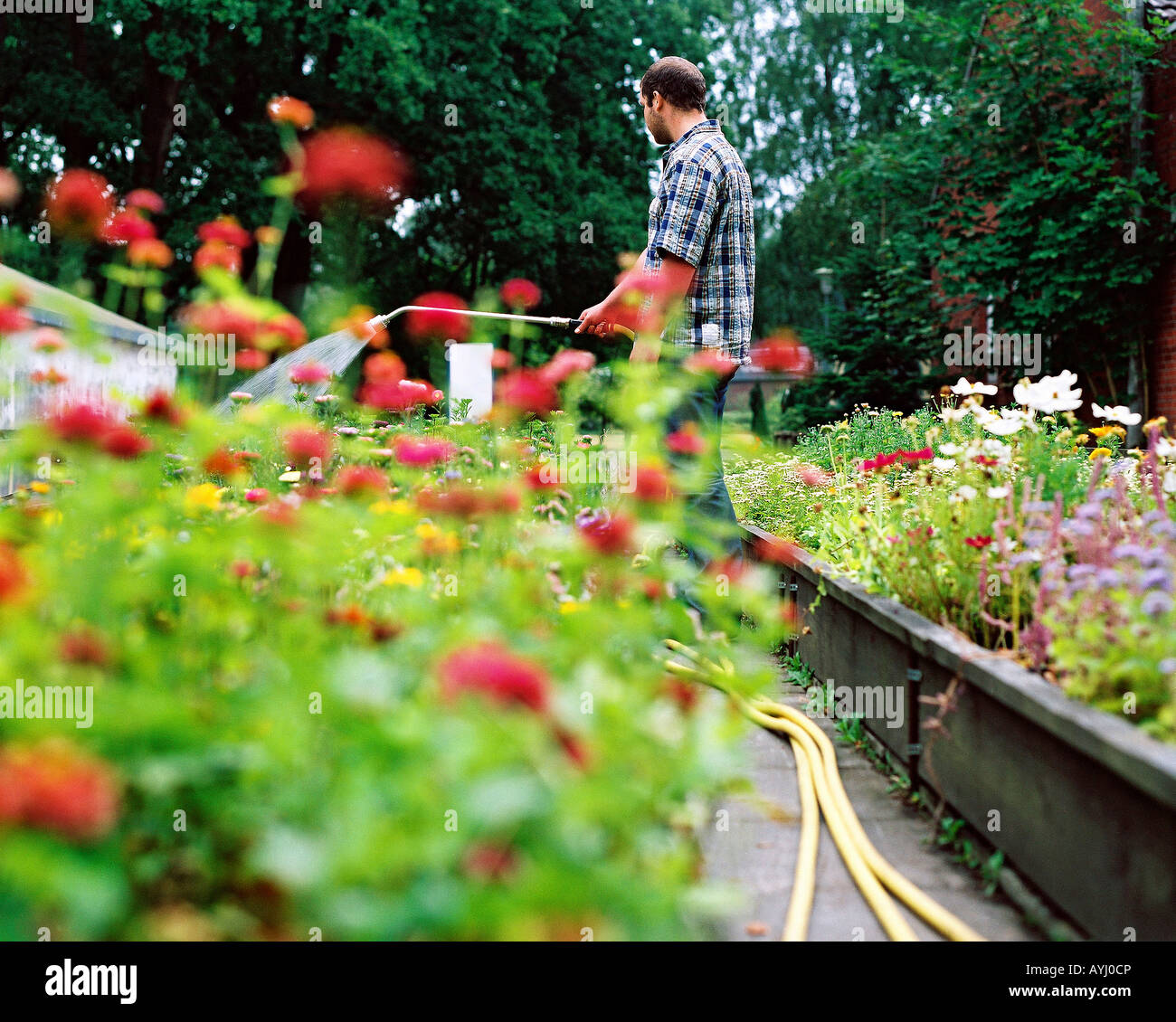 Junge süchtig machen Gartenarbeit in einem Detox-Center Stockfoto