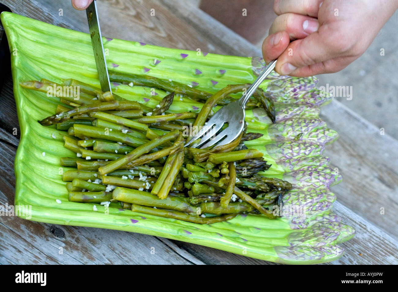 Portion Spargel auf einen dekorativen Teller. St Paul Minnesota USA Stockfoto
