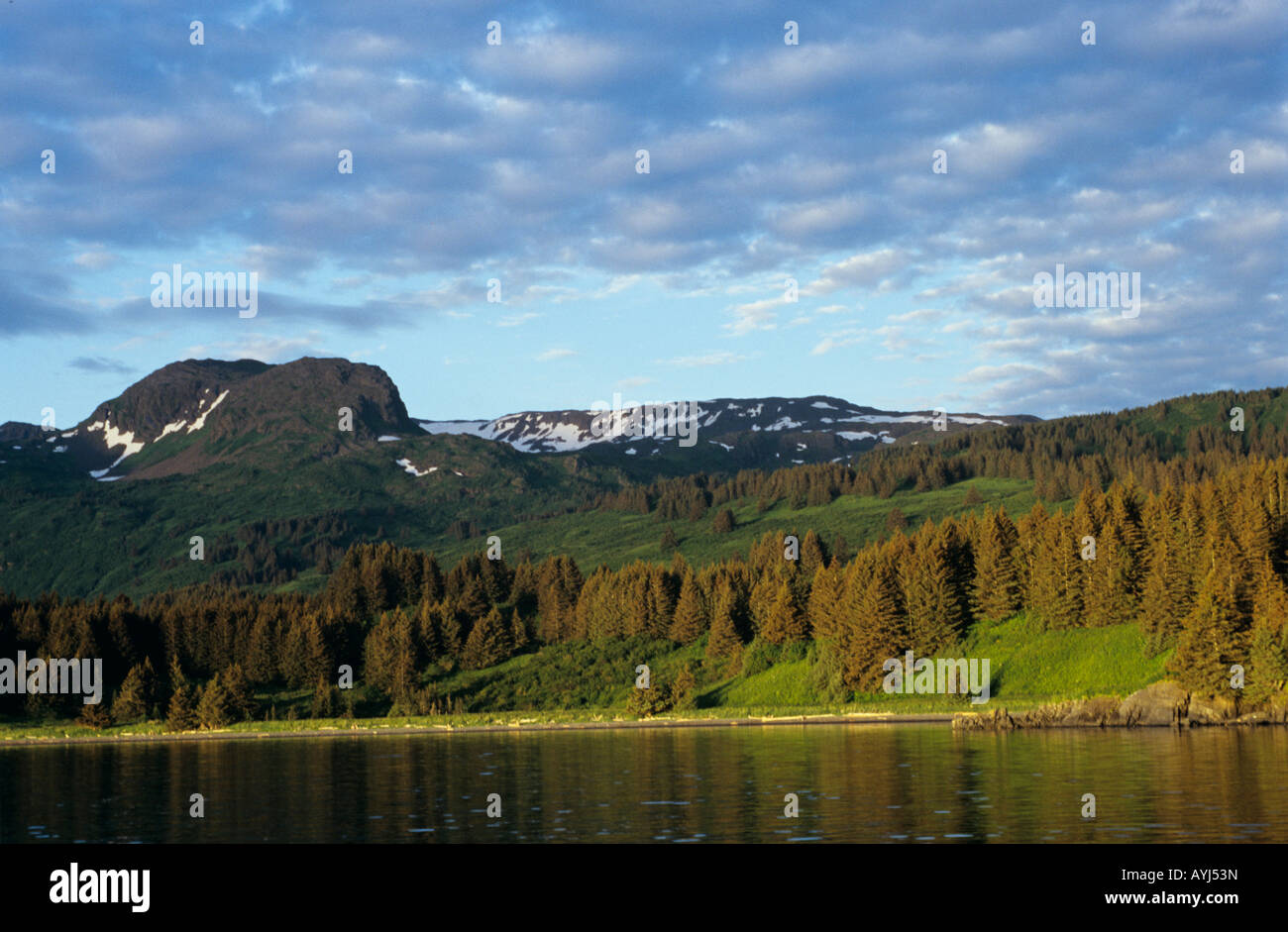 Natur auf der Insel Kodiak, Alaska Stockfoto