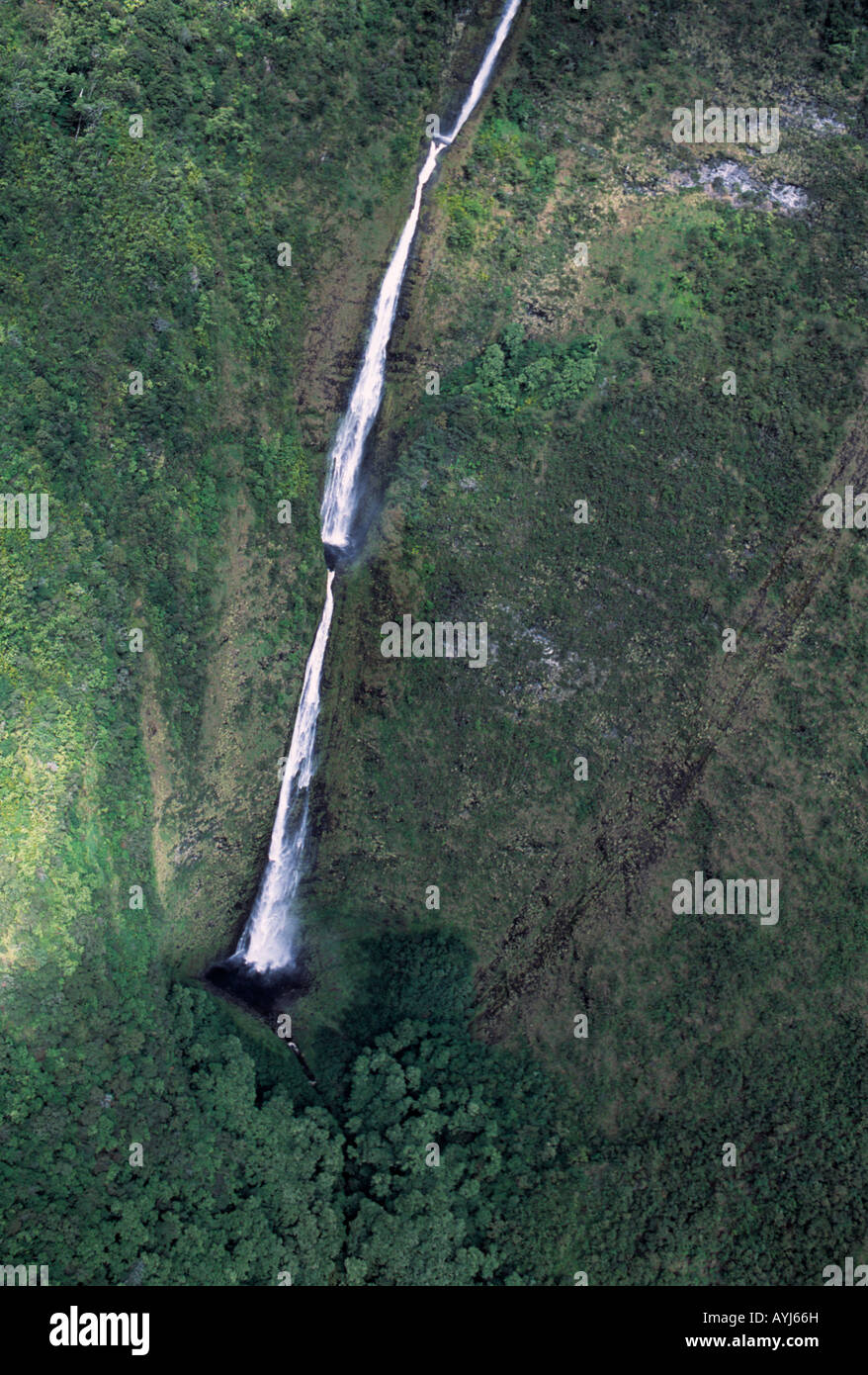 Luftaufnahme des Wasserfalls, remote Vally auf großen Inseln Ostküste, Hawaii, USA Stockfoto