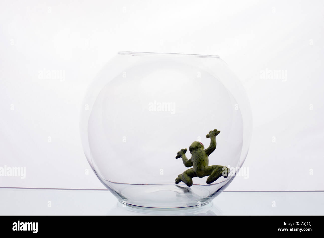Glasschale mit Glas Frosch im Inneren Stockfoto