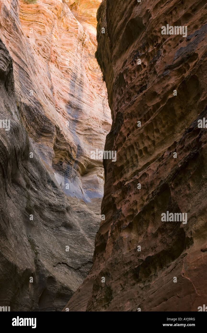 Slotcanyon aus rotem Sandstein, Clear Creek, Zion Nationalpark, UTAH Stockfoto
