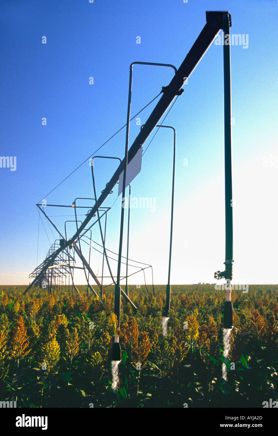 automatische Bewässerung-Maschinen in der Panhandlel von texas Stockfoto