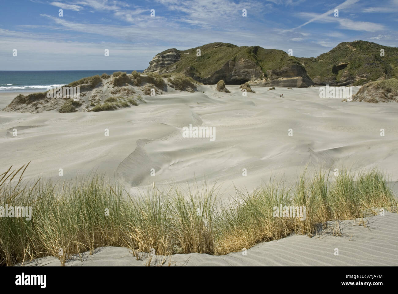 Imposante Dünen am Wharariki Beach im Norden der Südinsel von Neuseeland Stockfoto