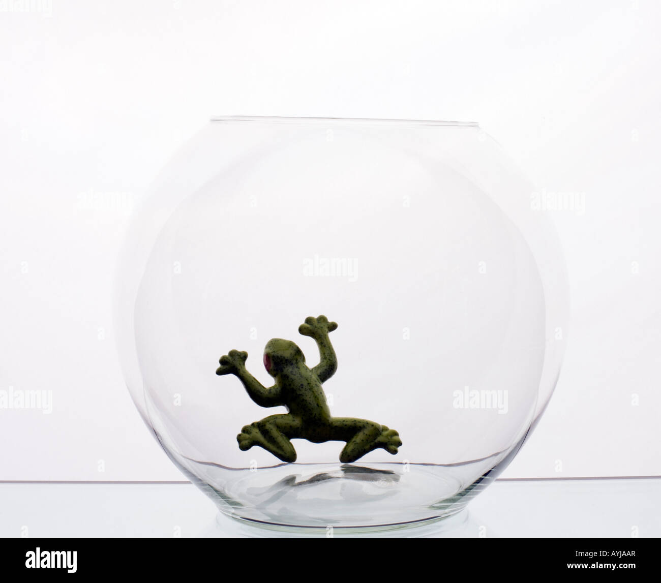 Glasschale mit Glas Frosch im Inneren Stockfoto