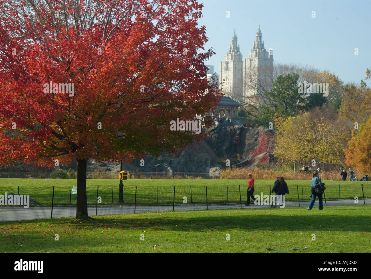 Herbstfarben im Central Park Stockfoto