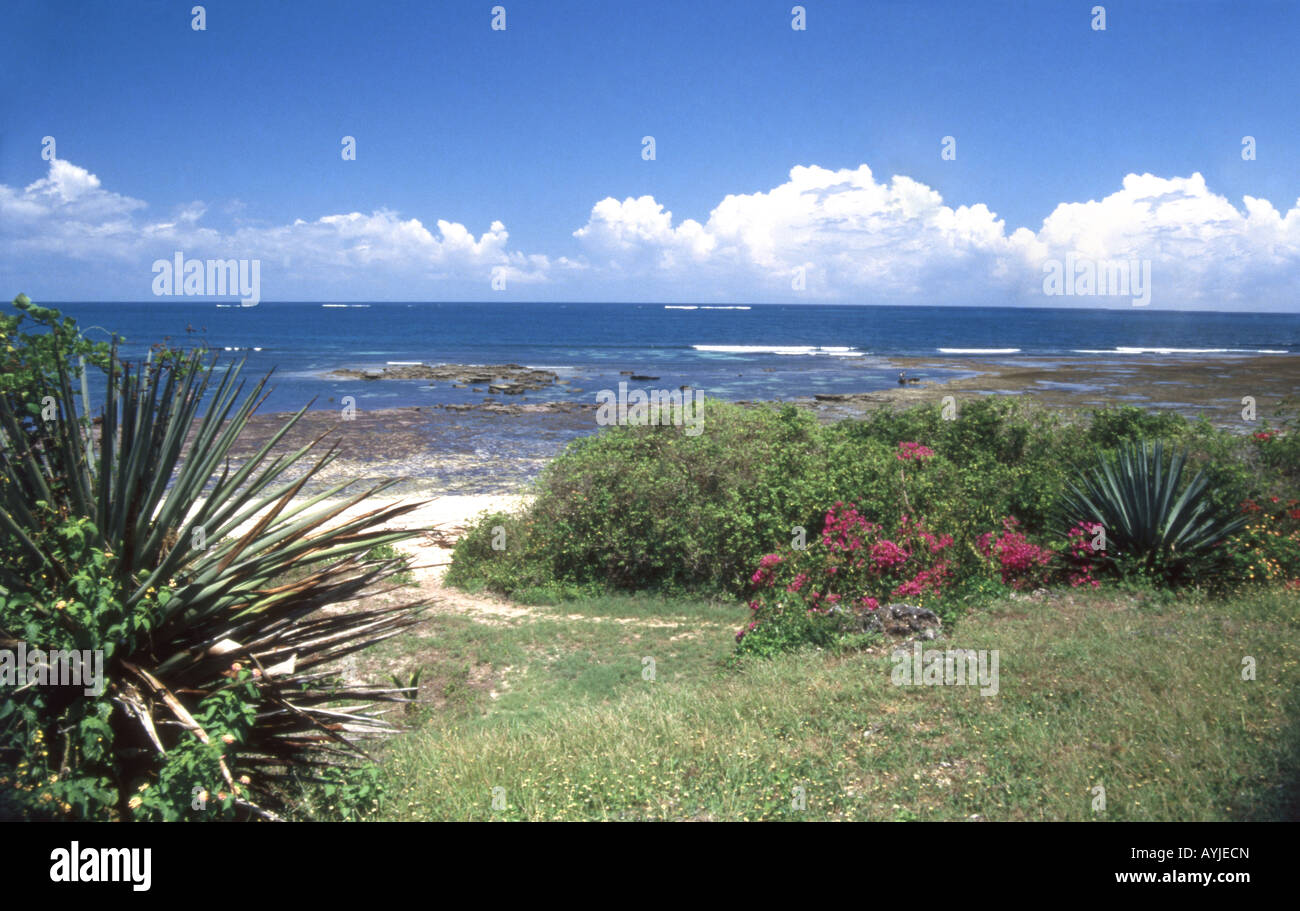 Sicht auf Strand und Küste von Masons Haus, Takaungu, Mombasa, Mombasa County, Republik Kenia Stockfoto