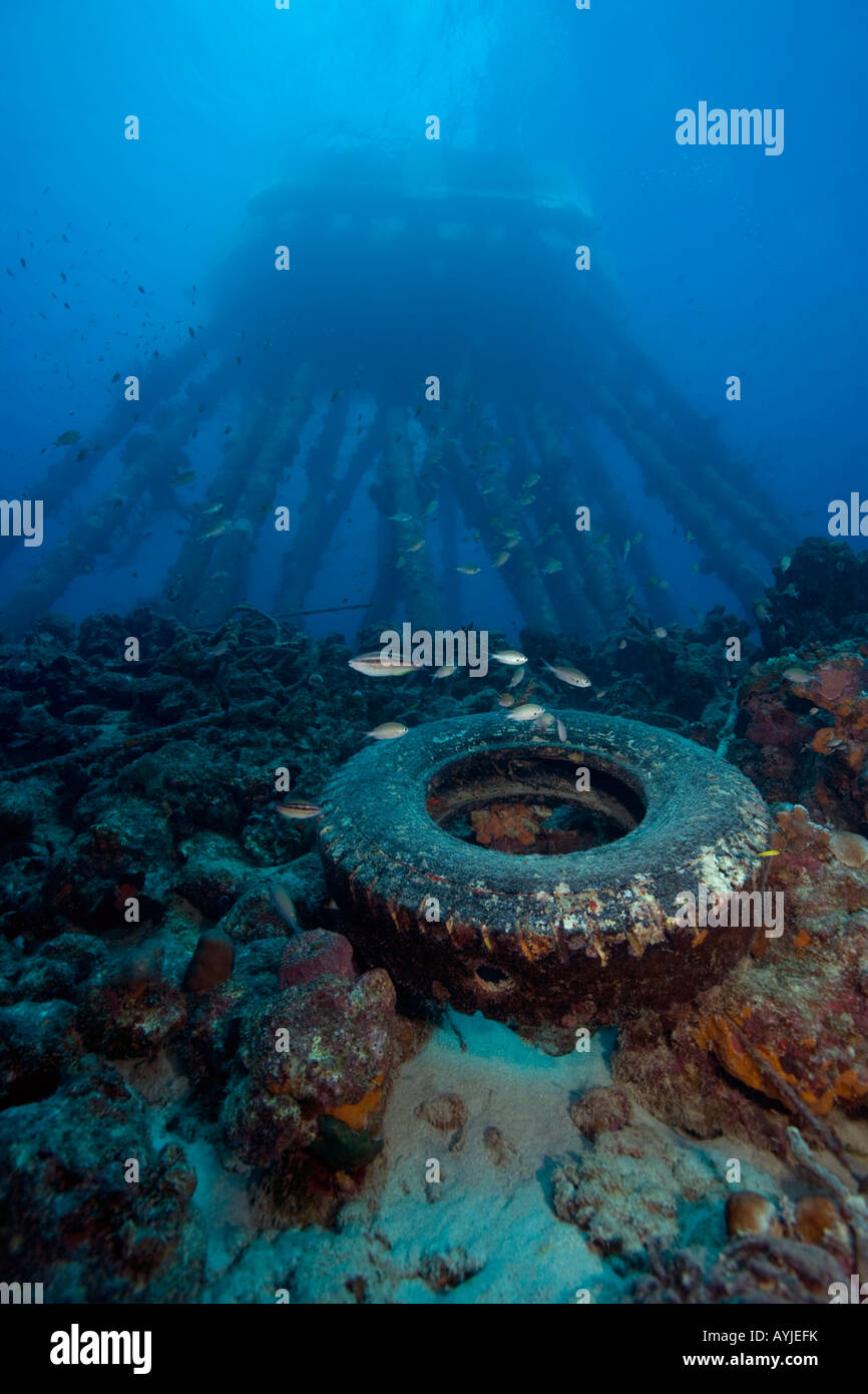 Salz Pier strukturieren Unterwasser-Bonaire-Niederlande-Antillies Stockfoto