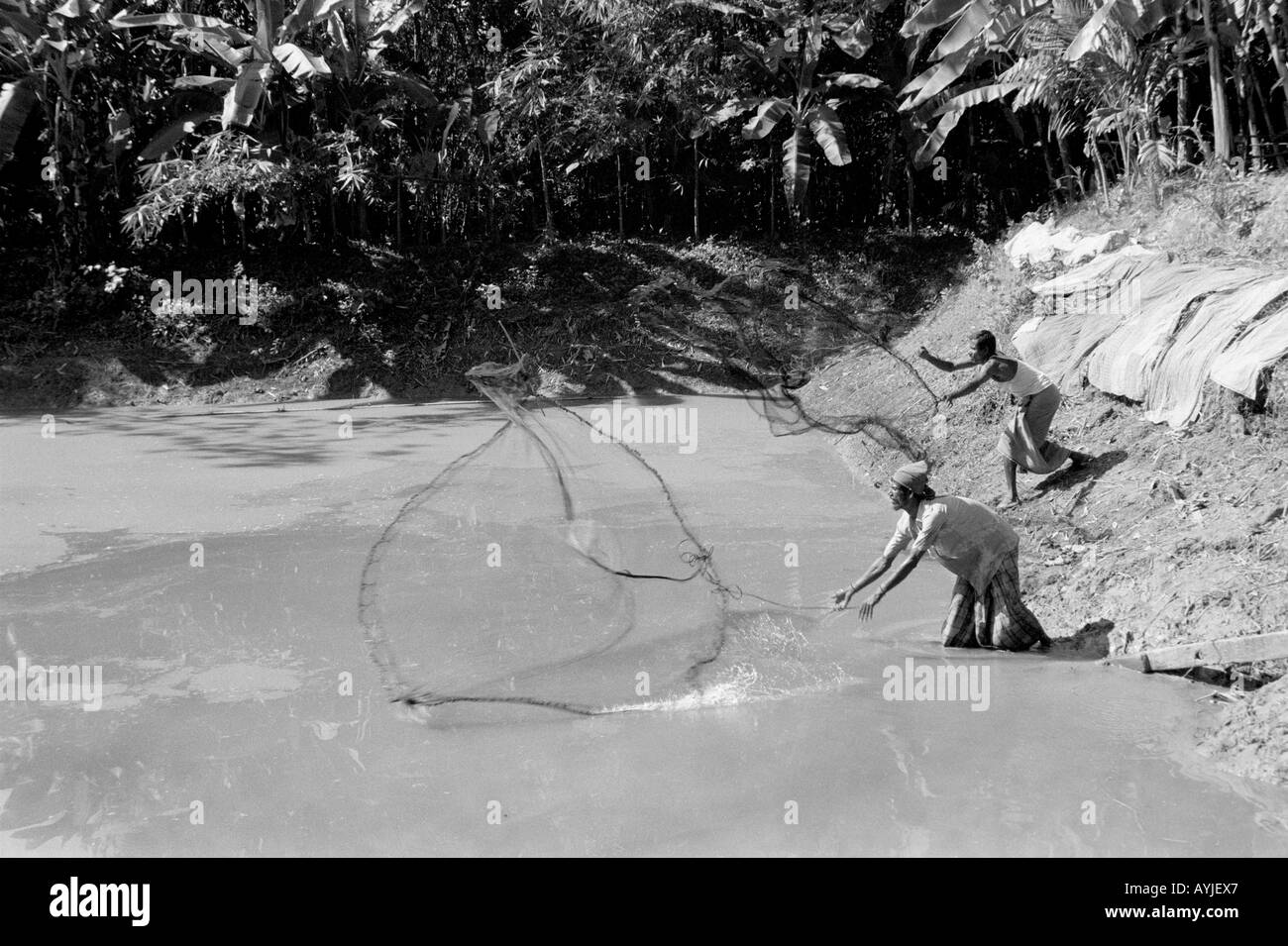 B/W-Landschaft von Landarbeitern, die in einem Teich auf einem Fischzuchtbetrieb Netze gießen. Tangail, Zentral-Bangladesch Stockfoto