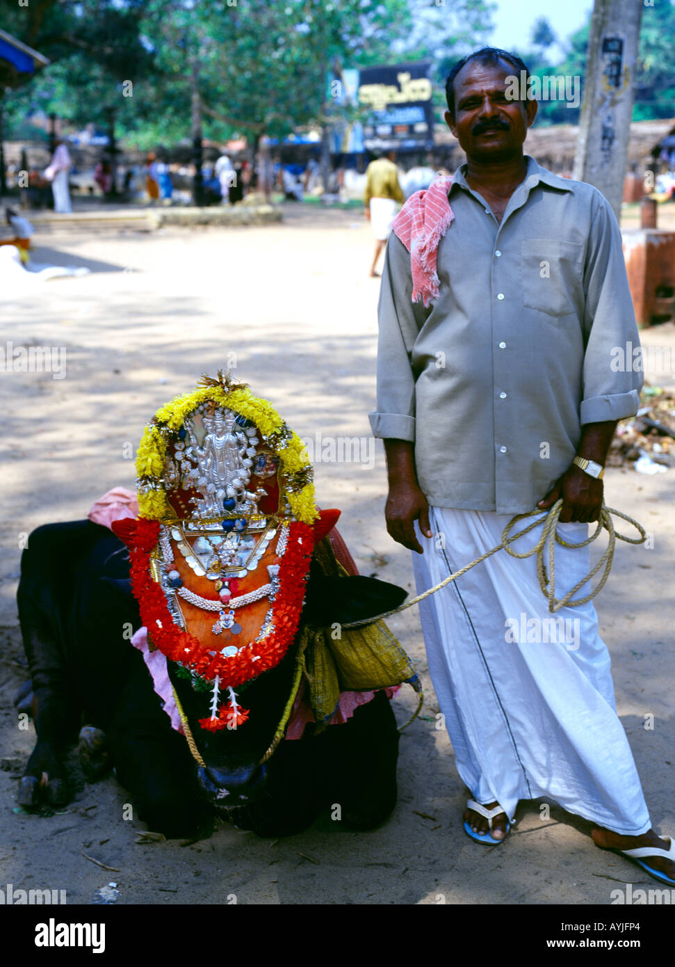 Kerala Indien Mann mit Heiligen Kuh an Shiva-Tempel Stockfoto