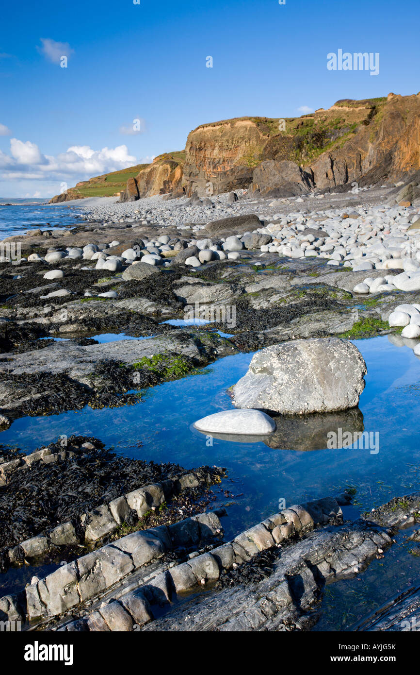 Felsenpools neben den Klippen am Abbotsham Devon England Stockfoto