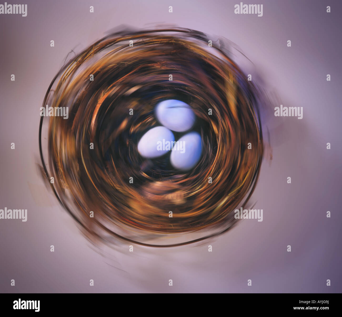 drei Eiern im nest Stockfoto