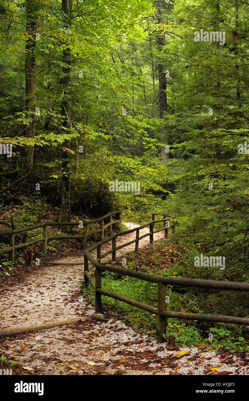 Trail zu natürlichen Brücke Bogen Natural Bridge State Resort Park Kentucky Stockfoto